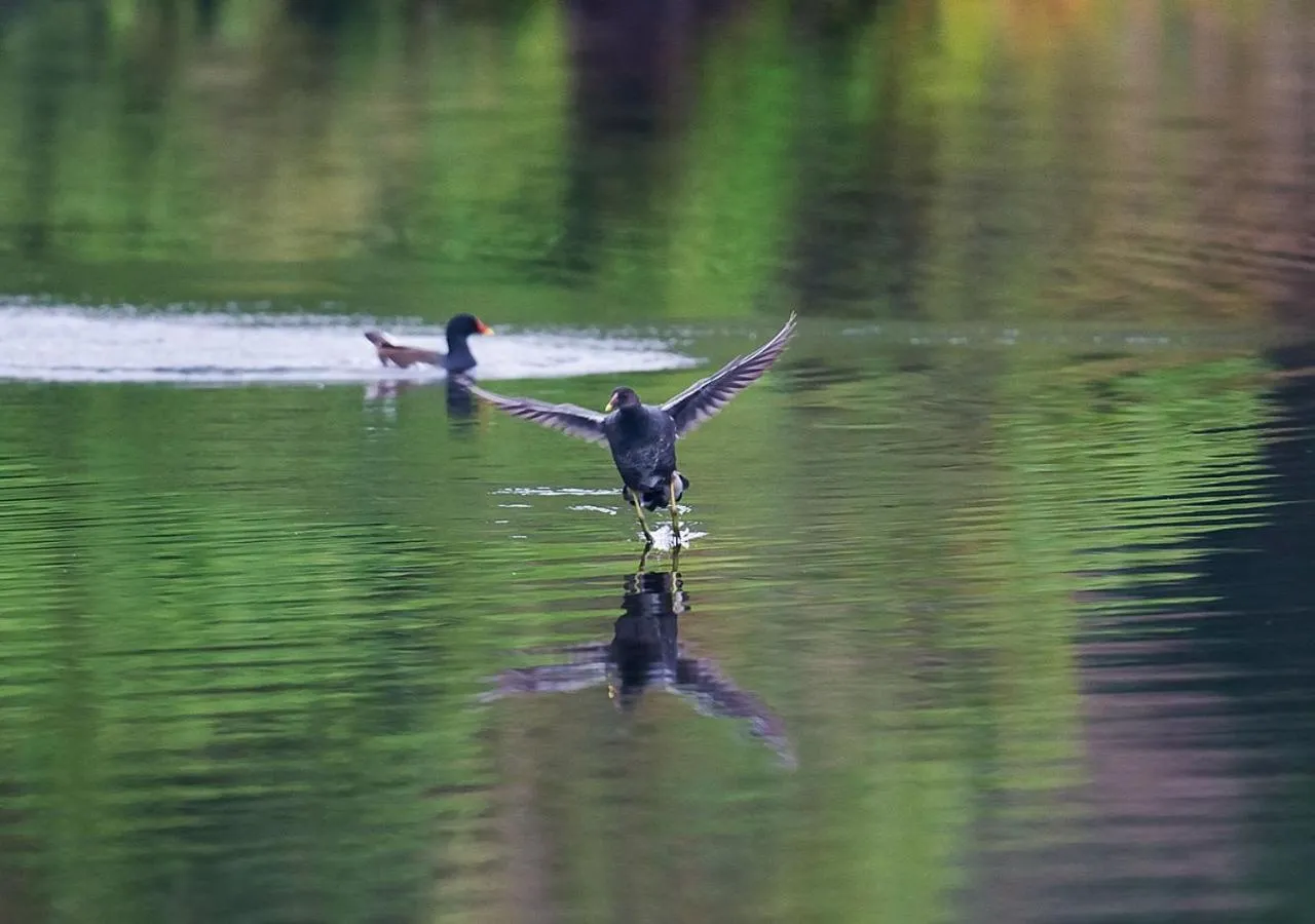 Natural landscape in Carp Islet Resort Fuzhou