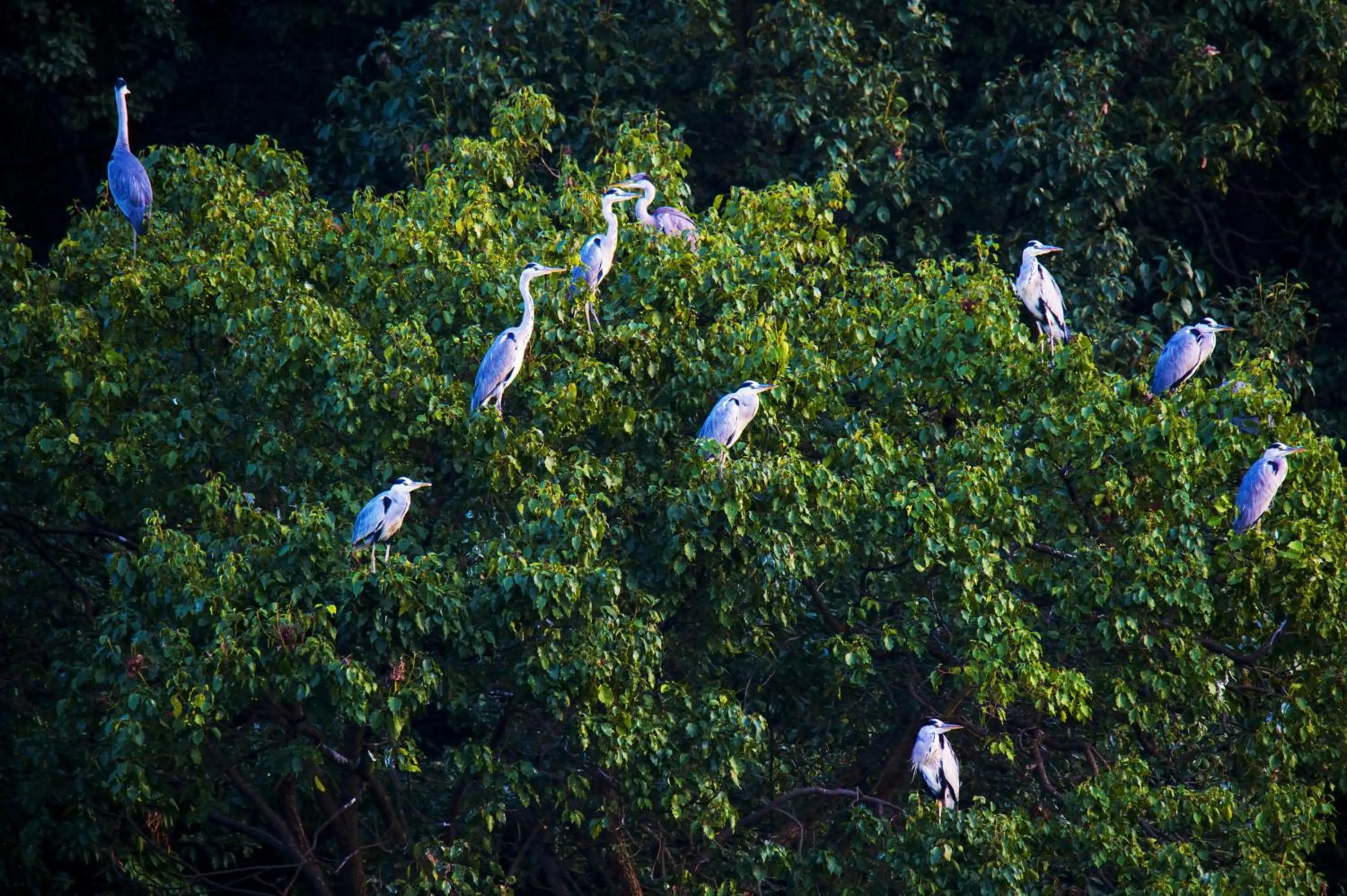 Natural landscape in Carp Islet Resort Fuzhou