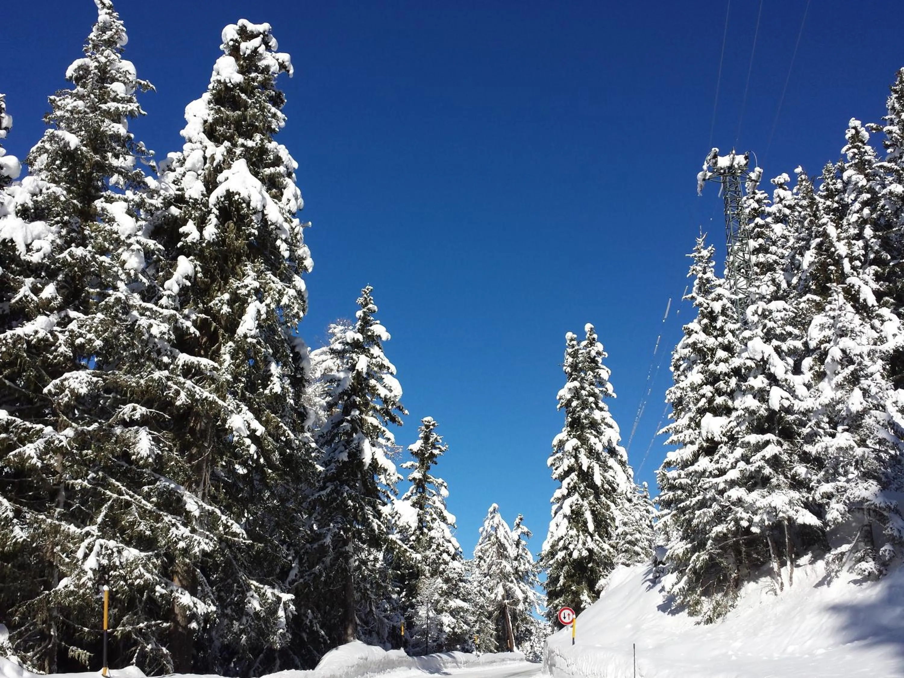 Natural landscape in Gasthof Waldruhe