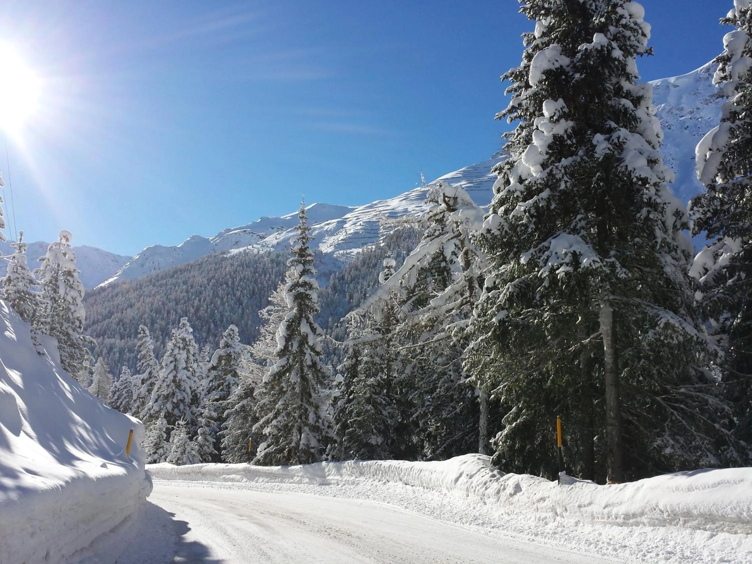 Natural landscape in Gasthof Waldruhe