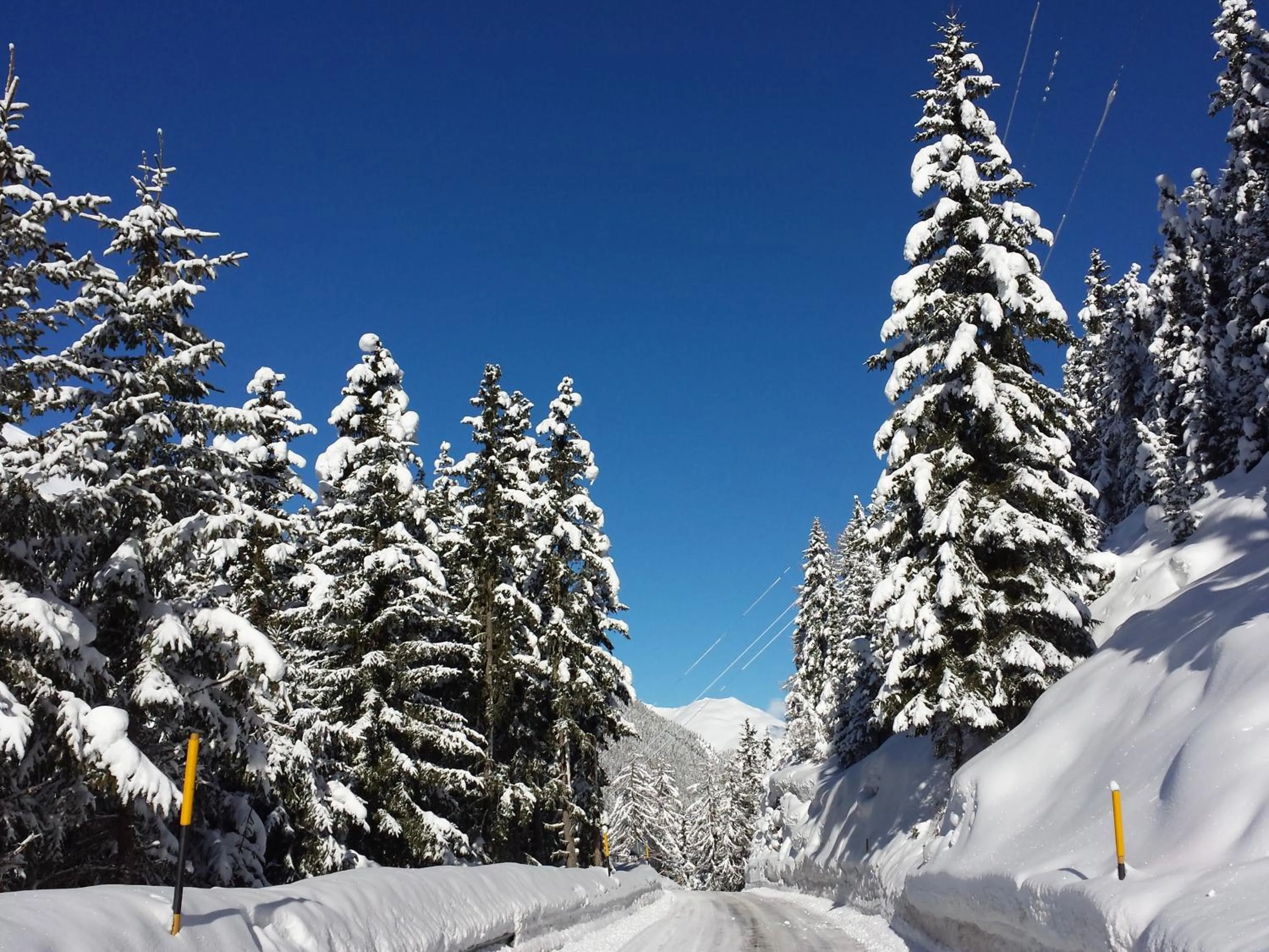 Winter in Gasthof Waldruhe