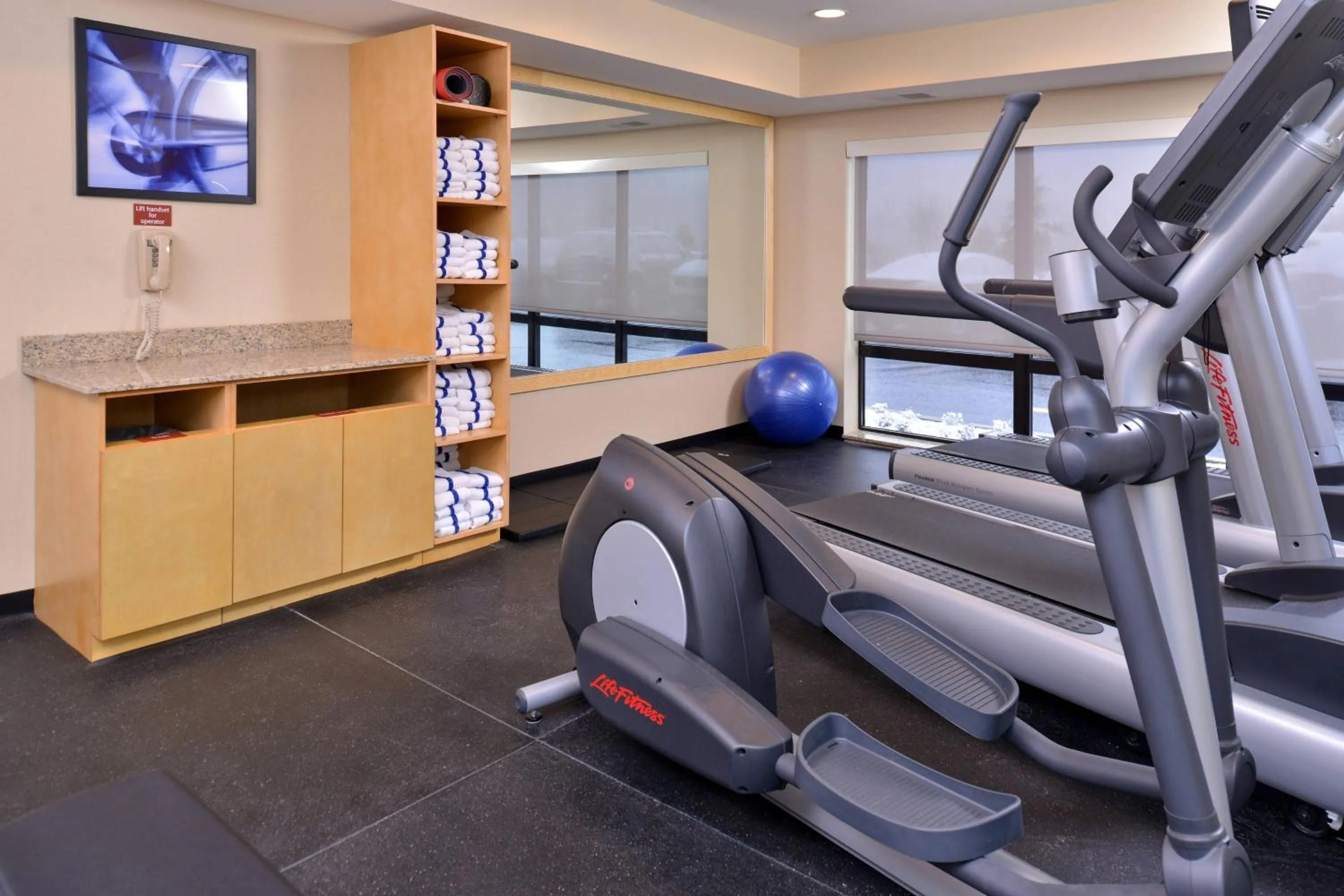 Fitness centre/facilities in TownePlace Suites by Marriott Detroit Commerce