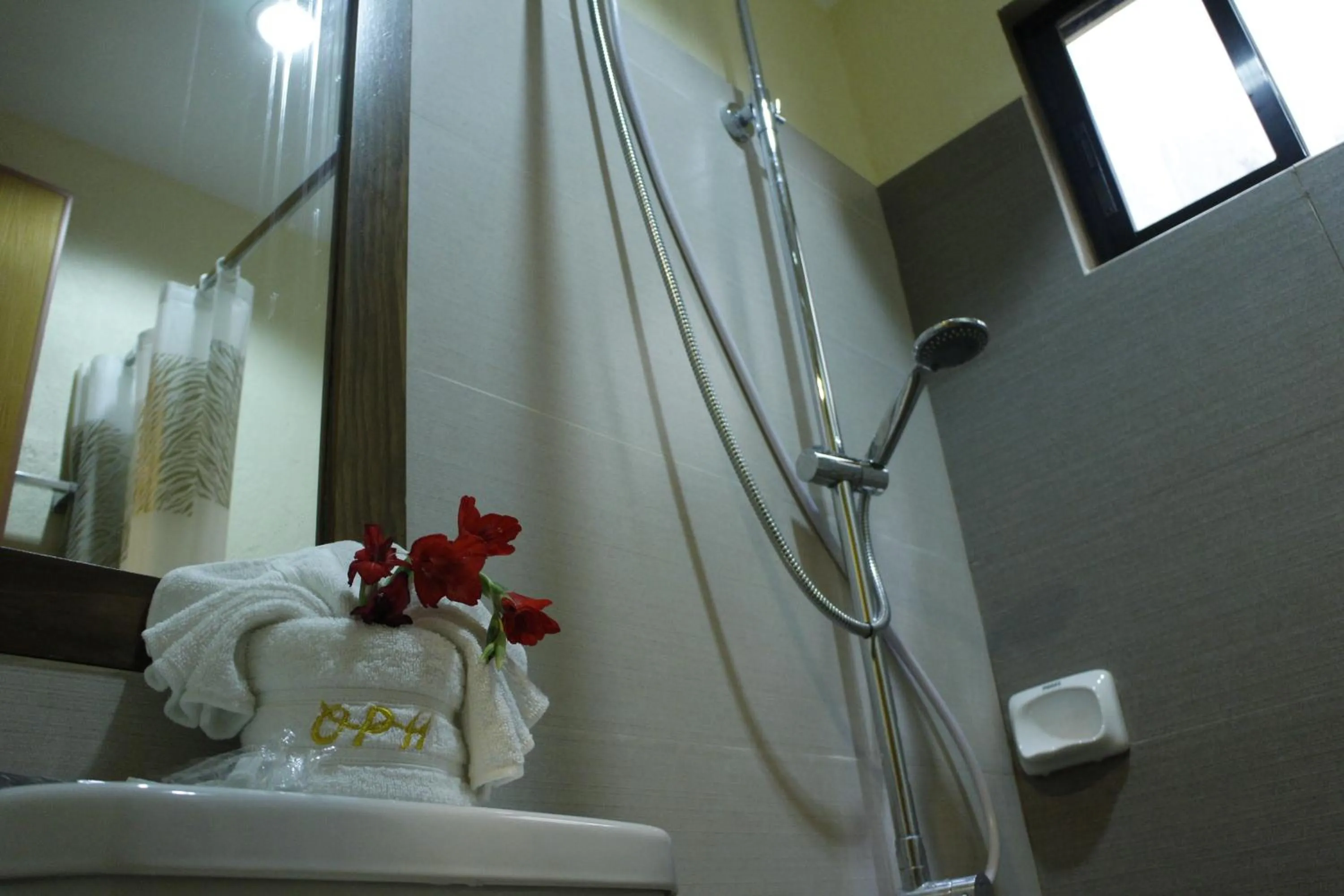 Shower in Optimum Pension House