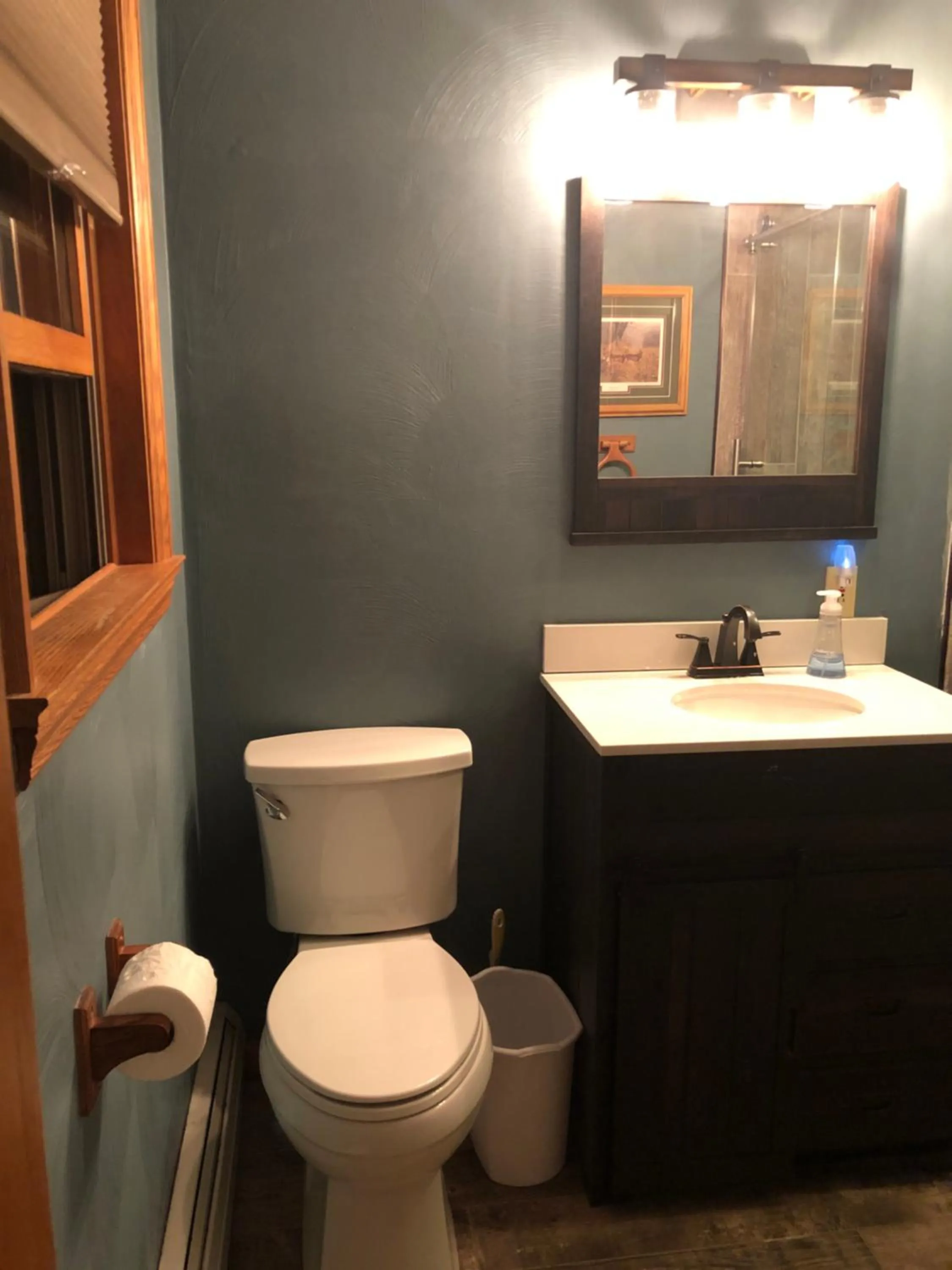 Toilet in Rough Cut Lodge