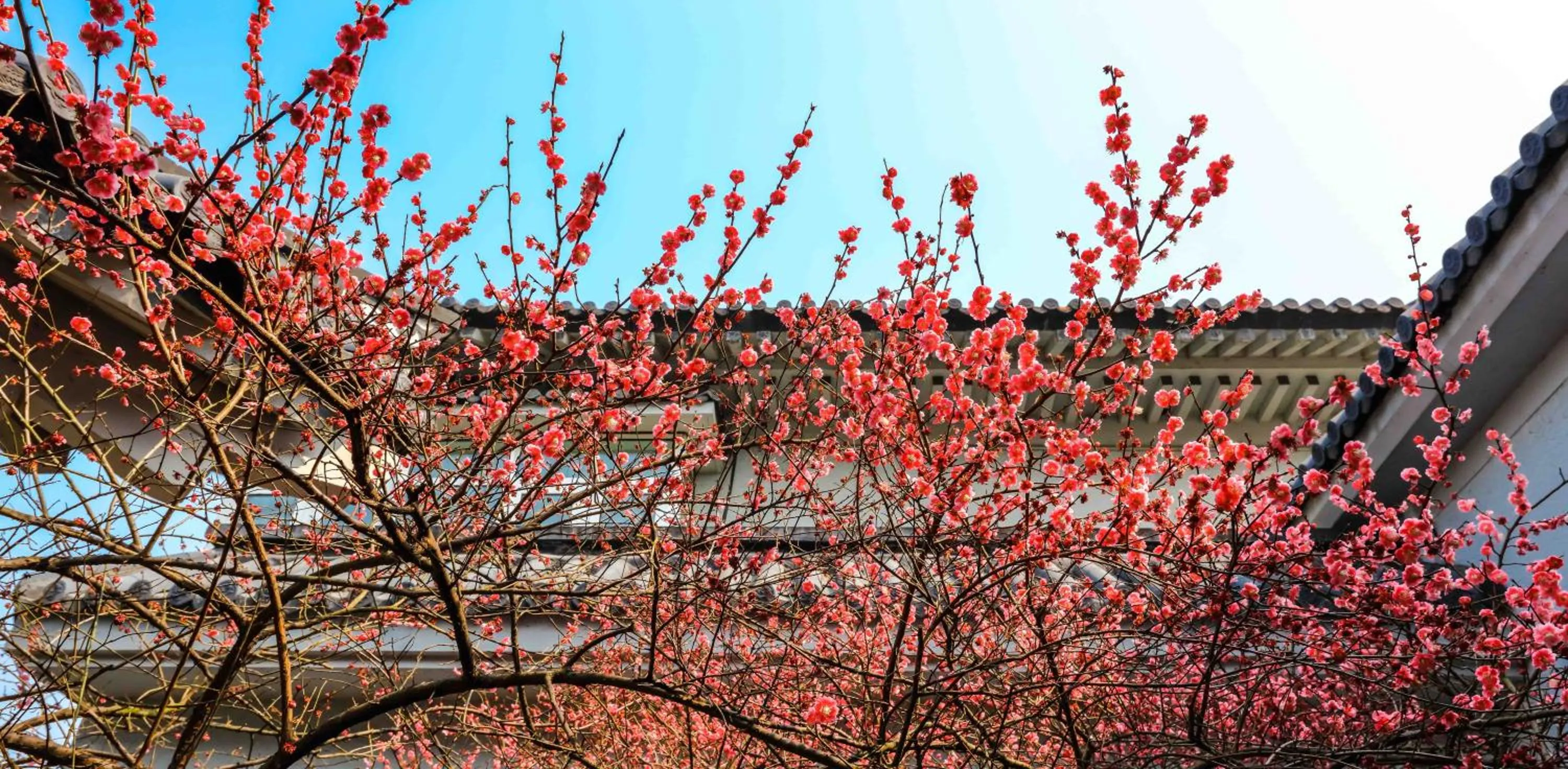 Property building in West Lake State Guest House