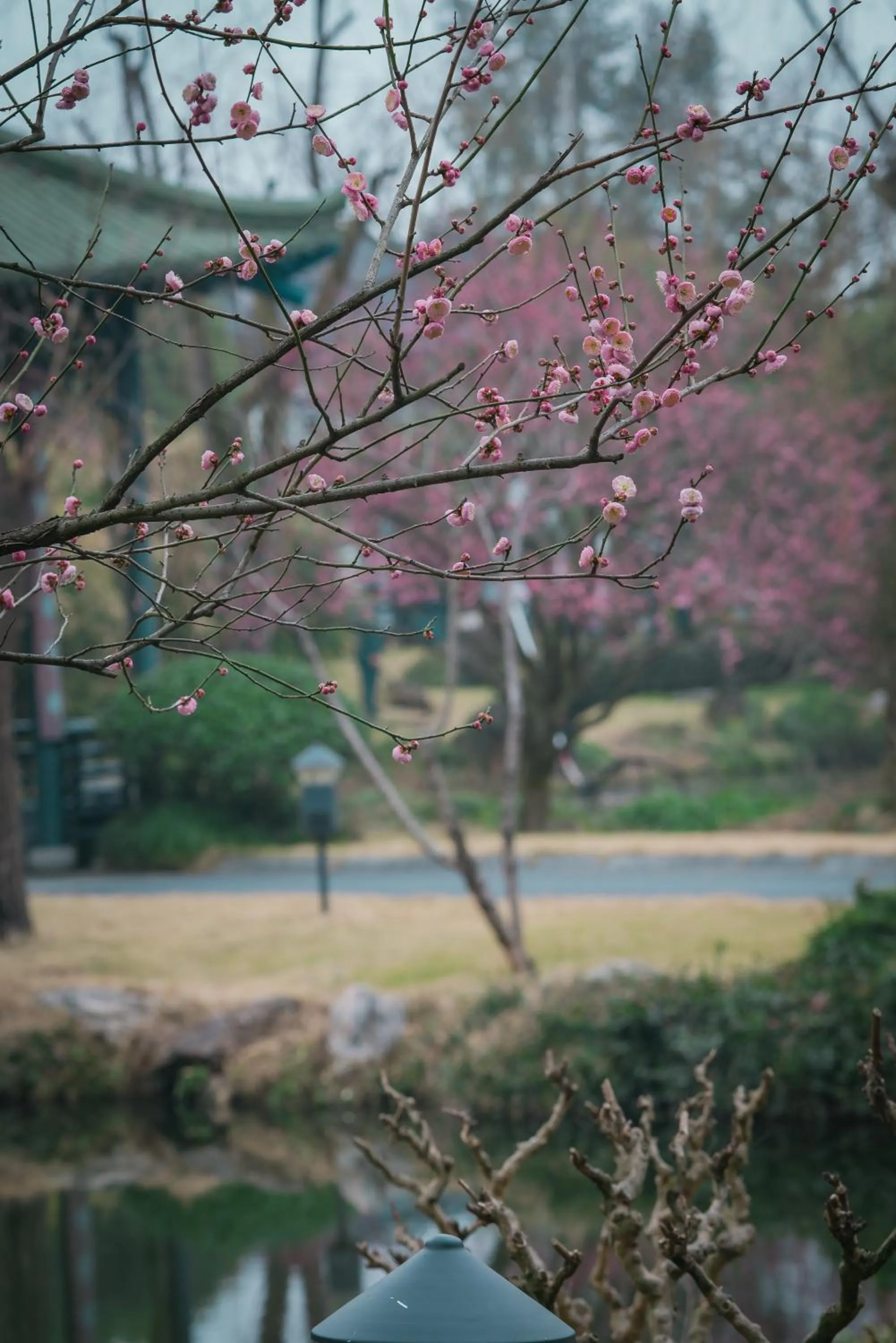 Property building in West Lake State Guest House