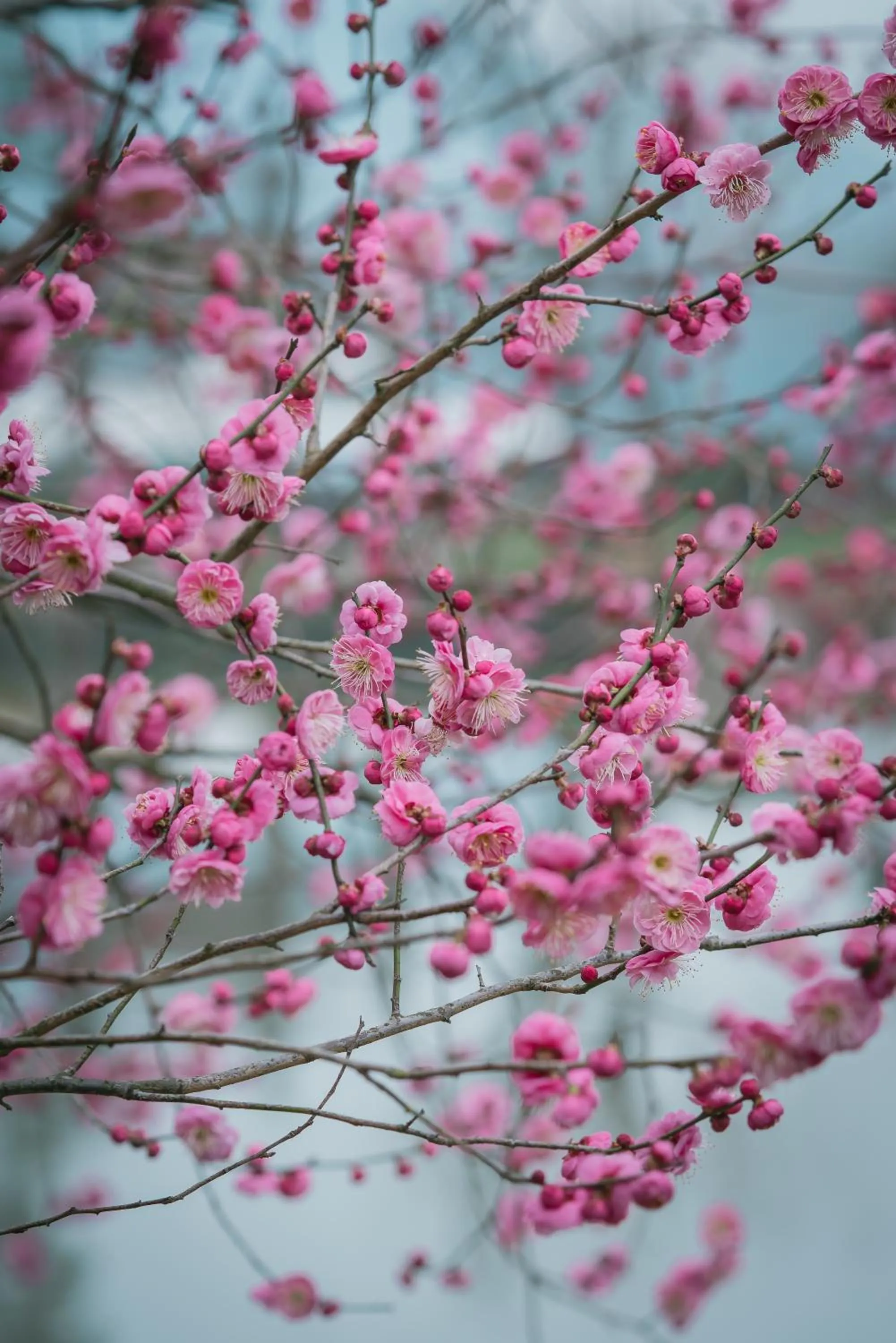 Property building in West Lake State Guest House