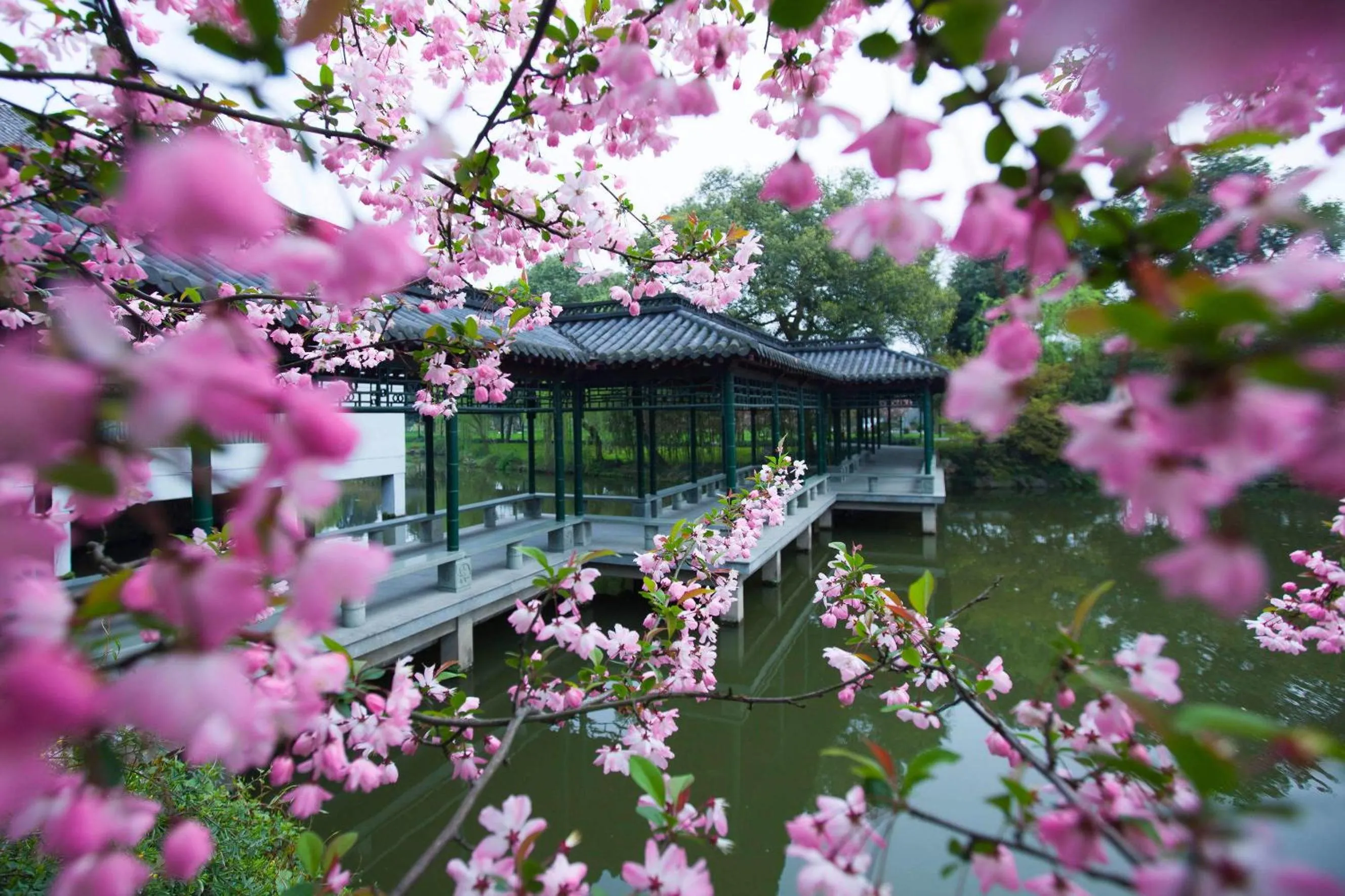 Garden in West Lake State Guest House
