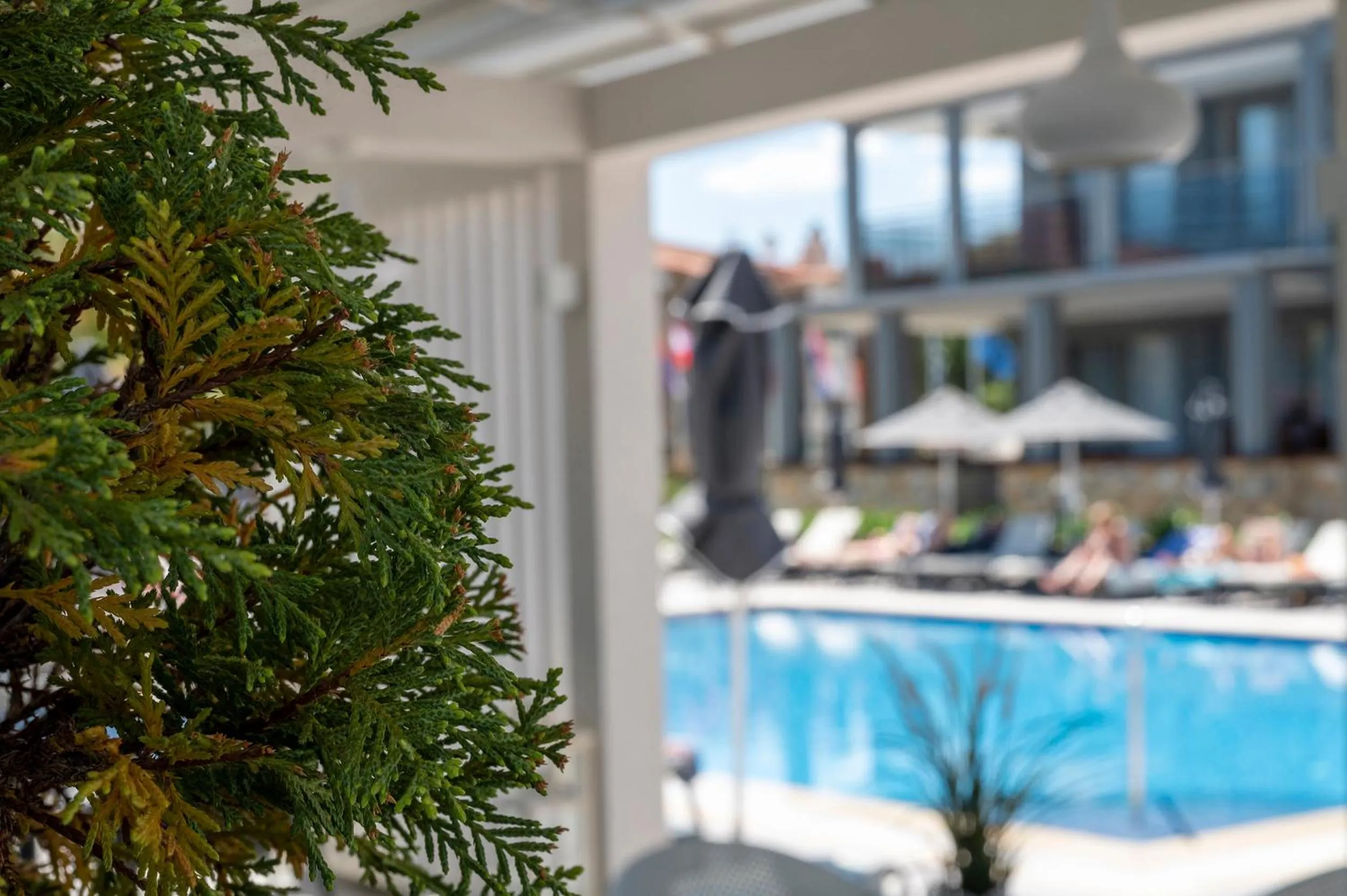 Swimming pool in Dionysos Hotel & Suites