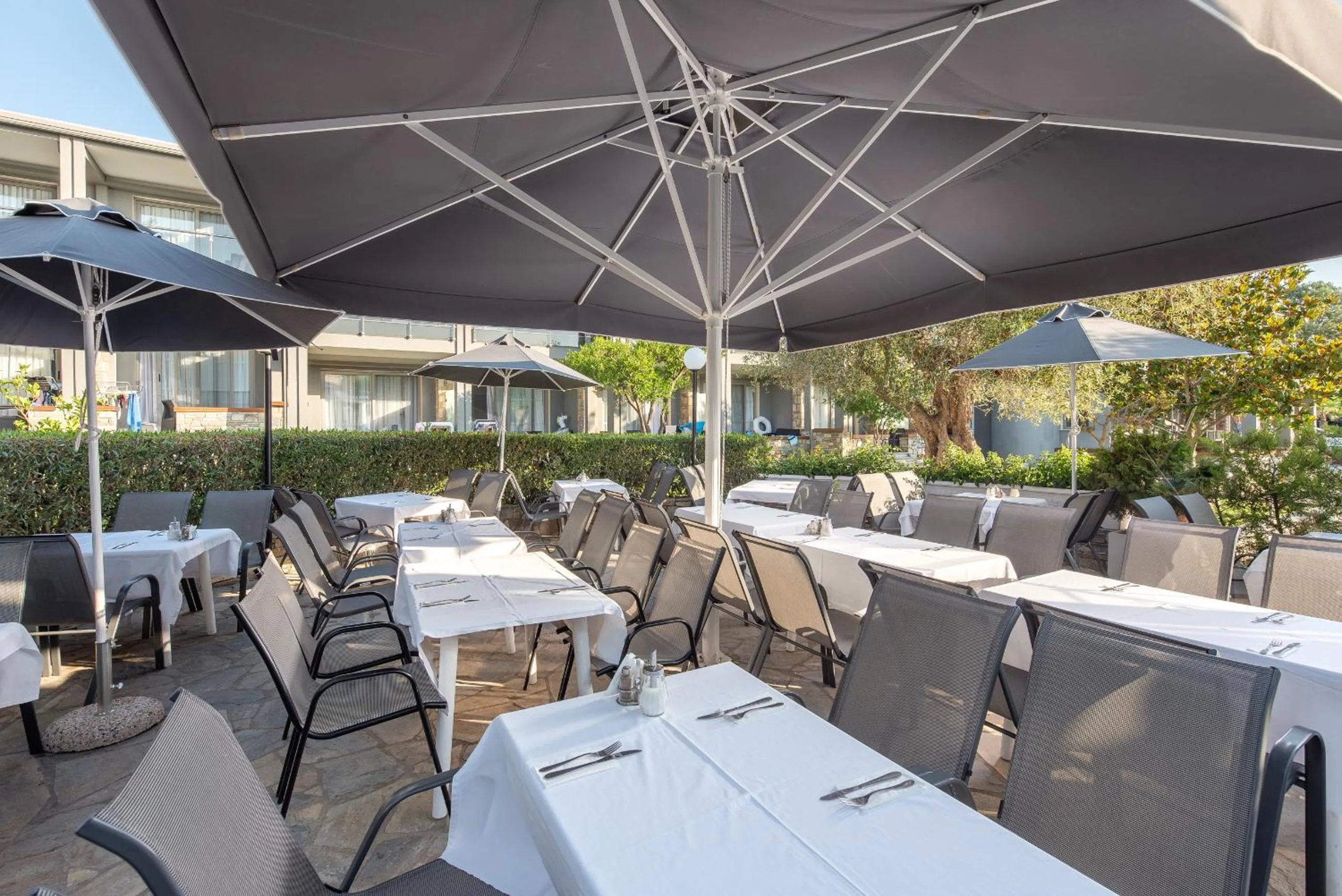 Restaurant/places to eat in Dionysos Hotel & Suites