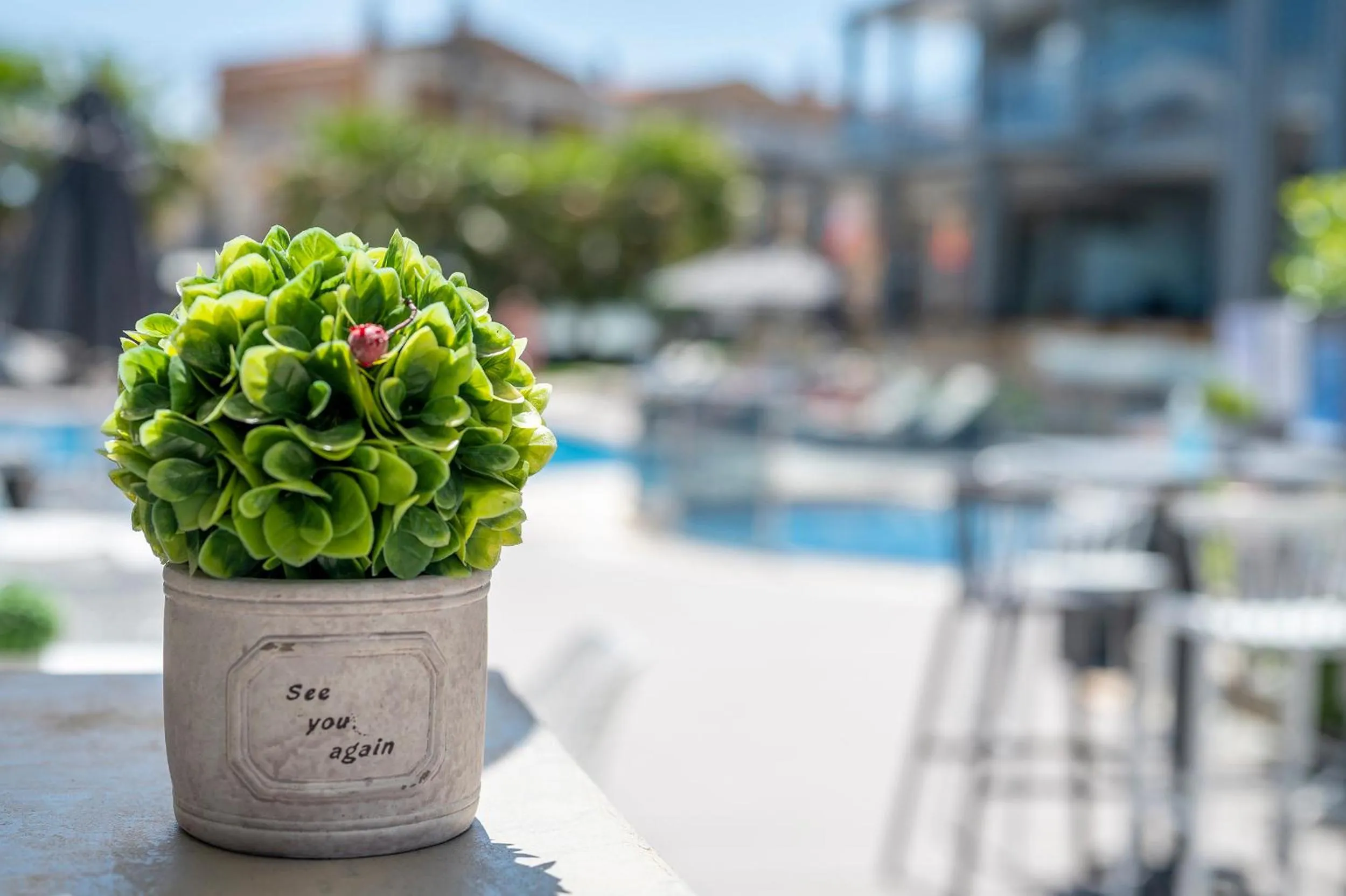 Swimming pool in Dionysos Hotel & Suites