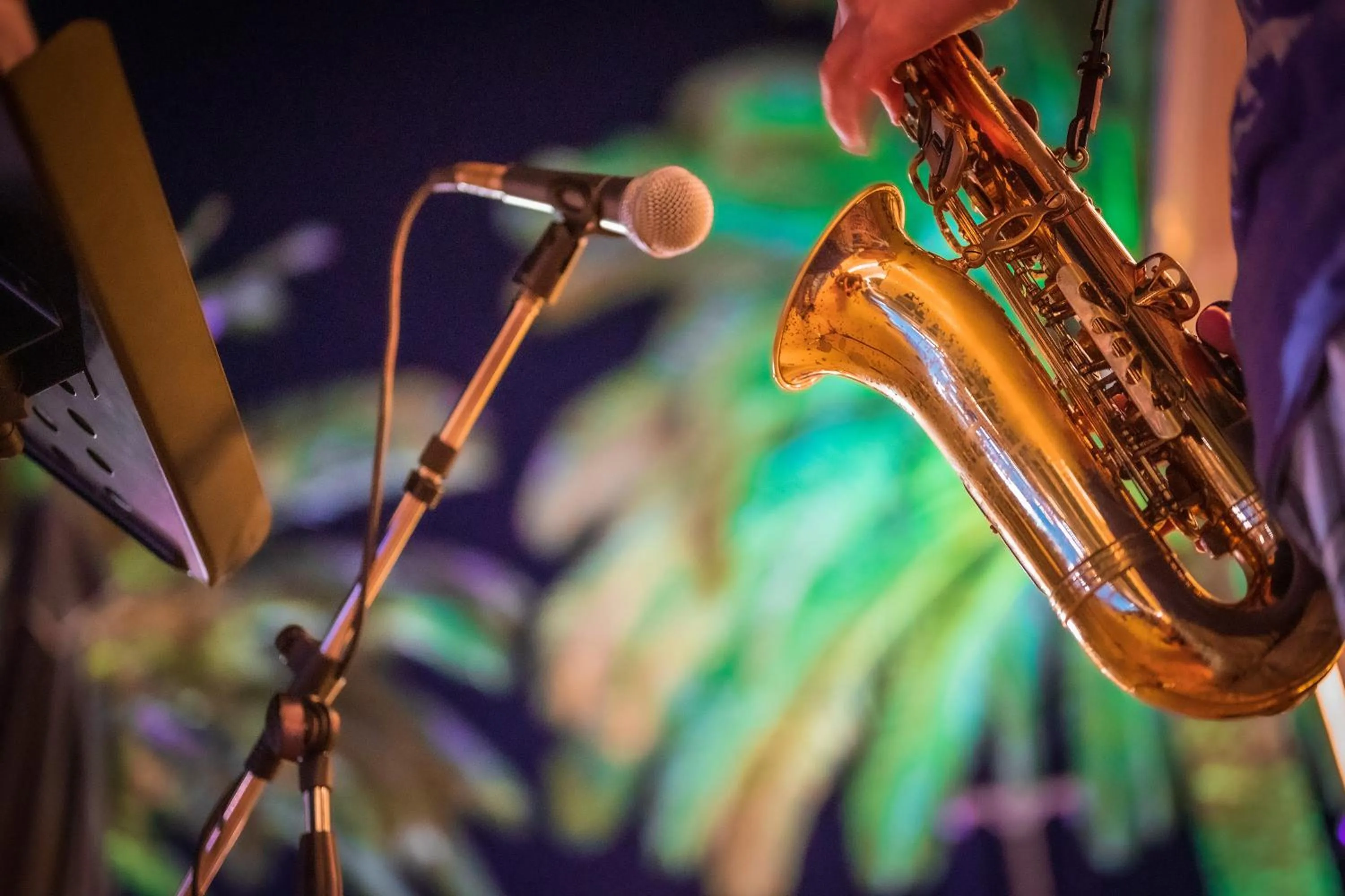 Evening entertainment in Dionysos Hotel & Suites