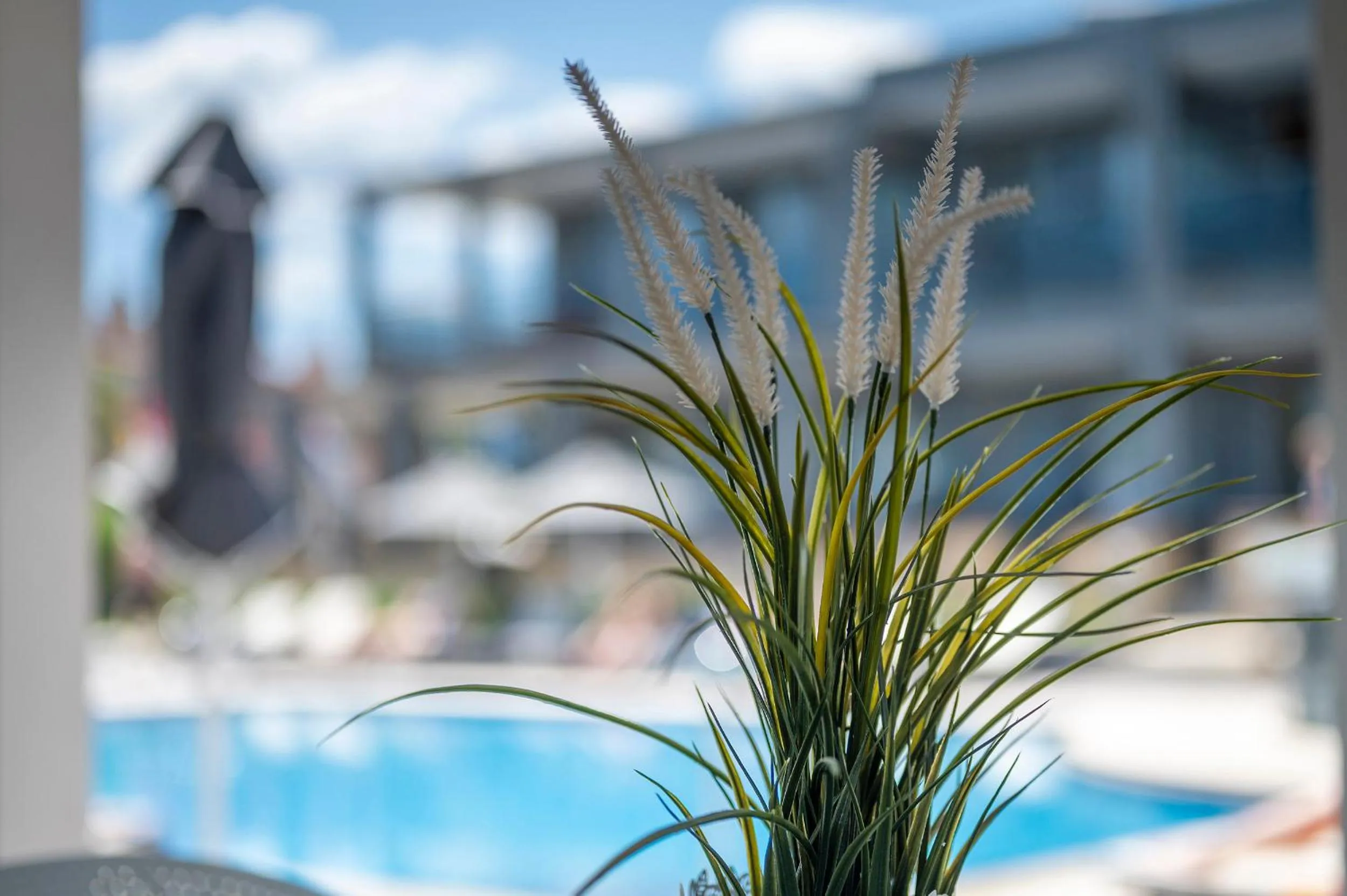 Swimming pool in Dionysos Hotel & Suites