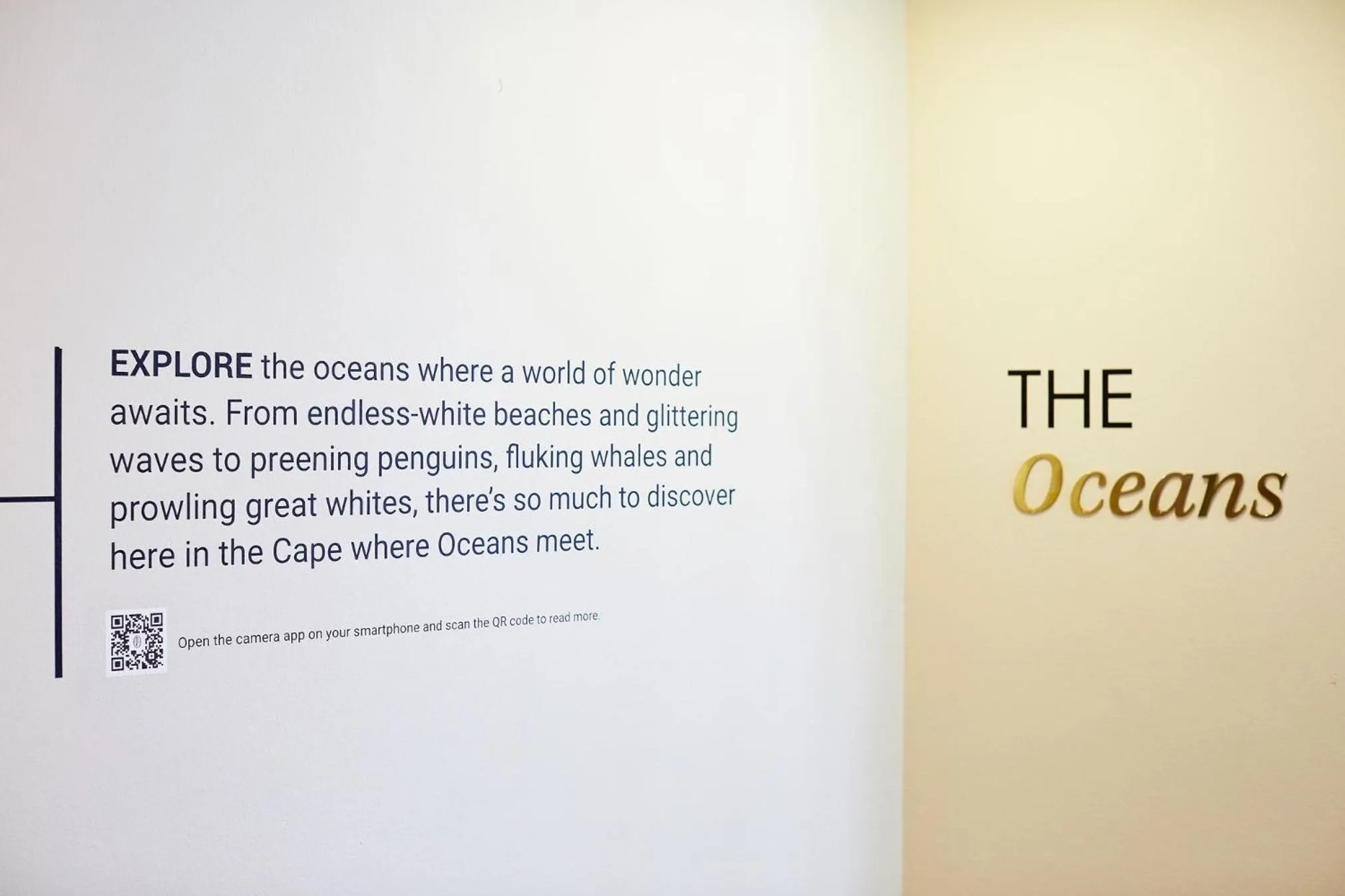 Decorative detail in President Hotel