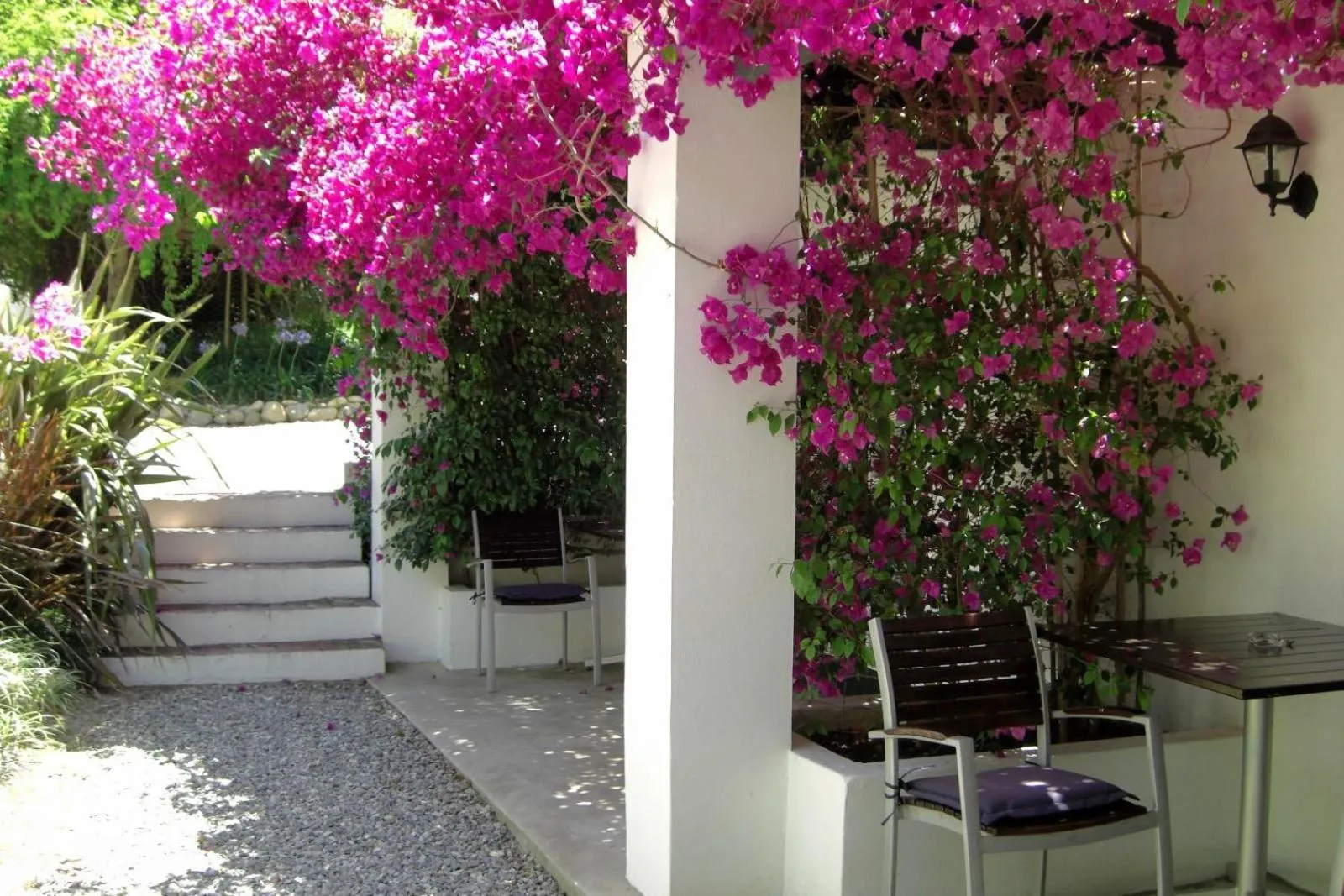 Garden in De Kloof Heritage Estate and Wellness