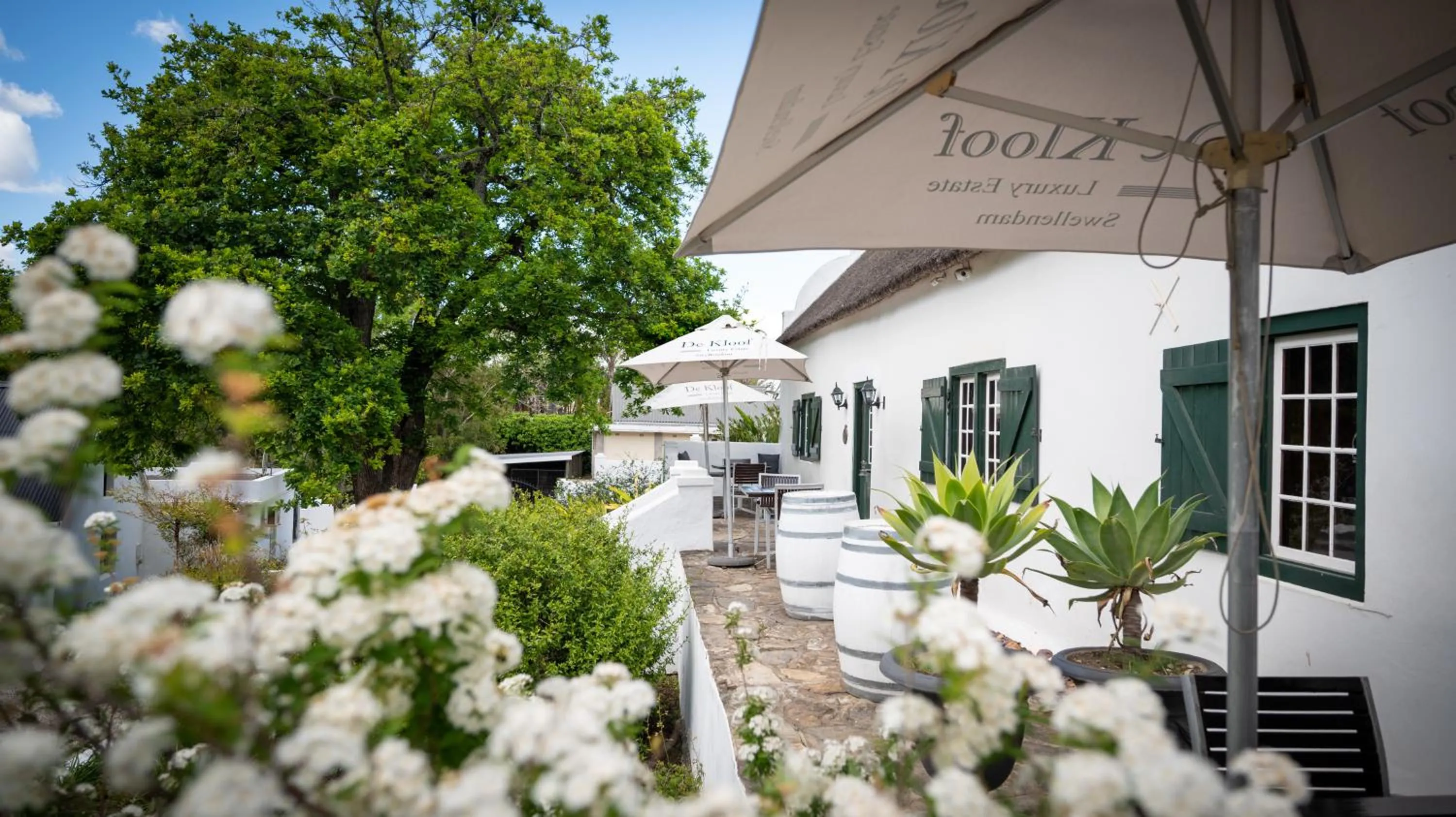 Balcony/Terrace in De Kloof Heritage Estate and Wellness