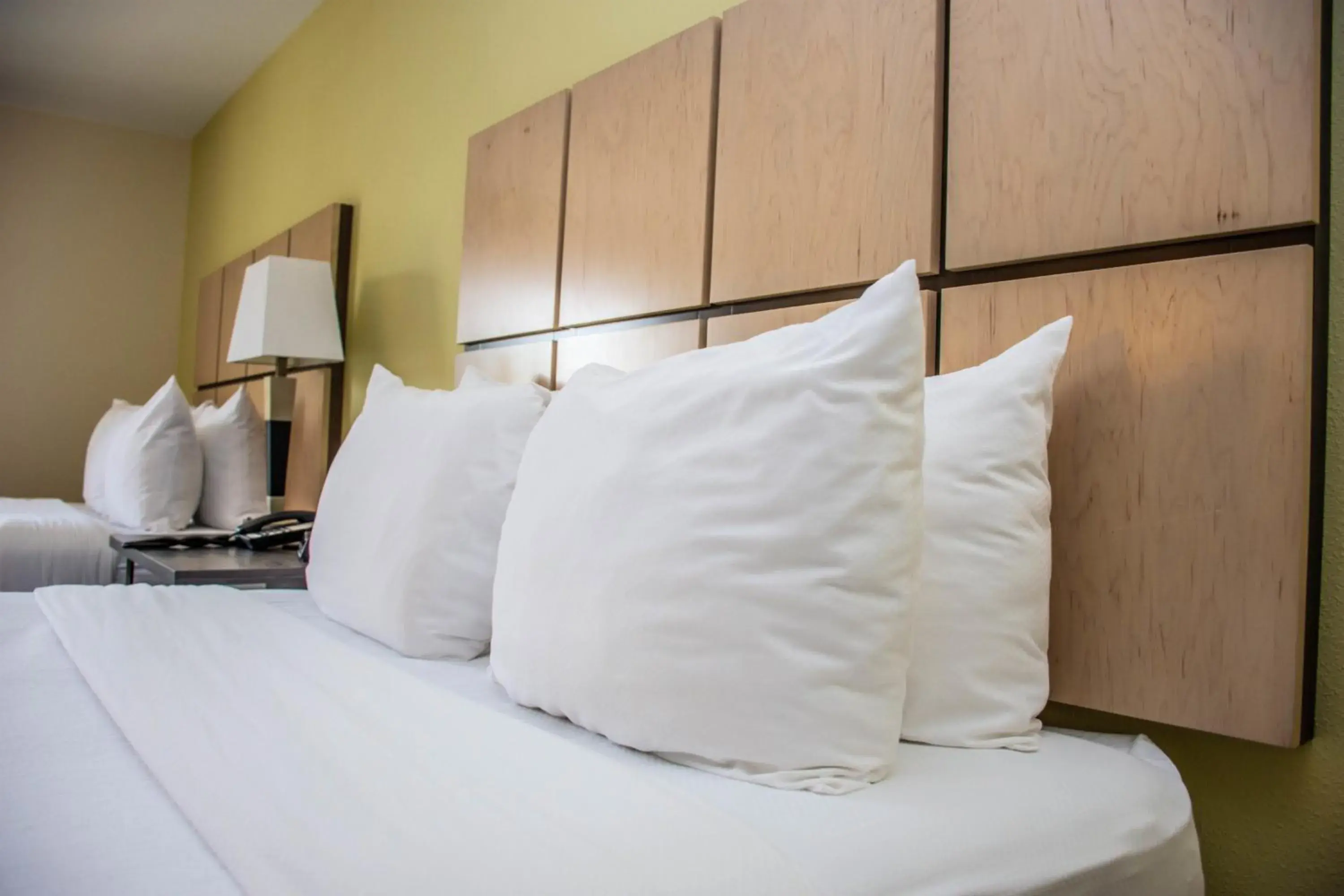 Studio Suite with Two Queen Beds in Candlewood Suites Overland Park W 135th St by IHG Studio Suite with Two Queen Beds in Candlewood Suites Overland Park W 135th St by IHG