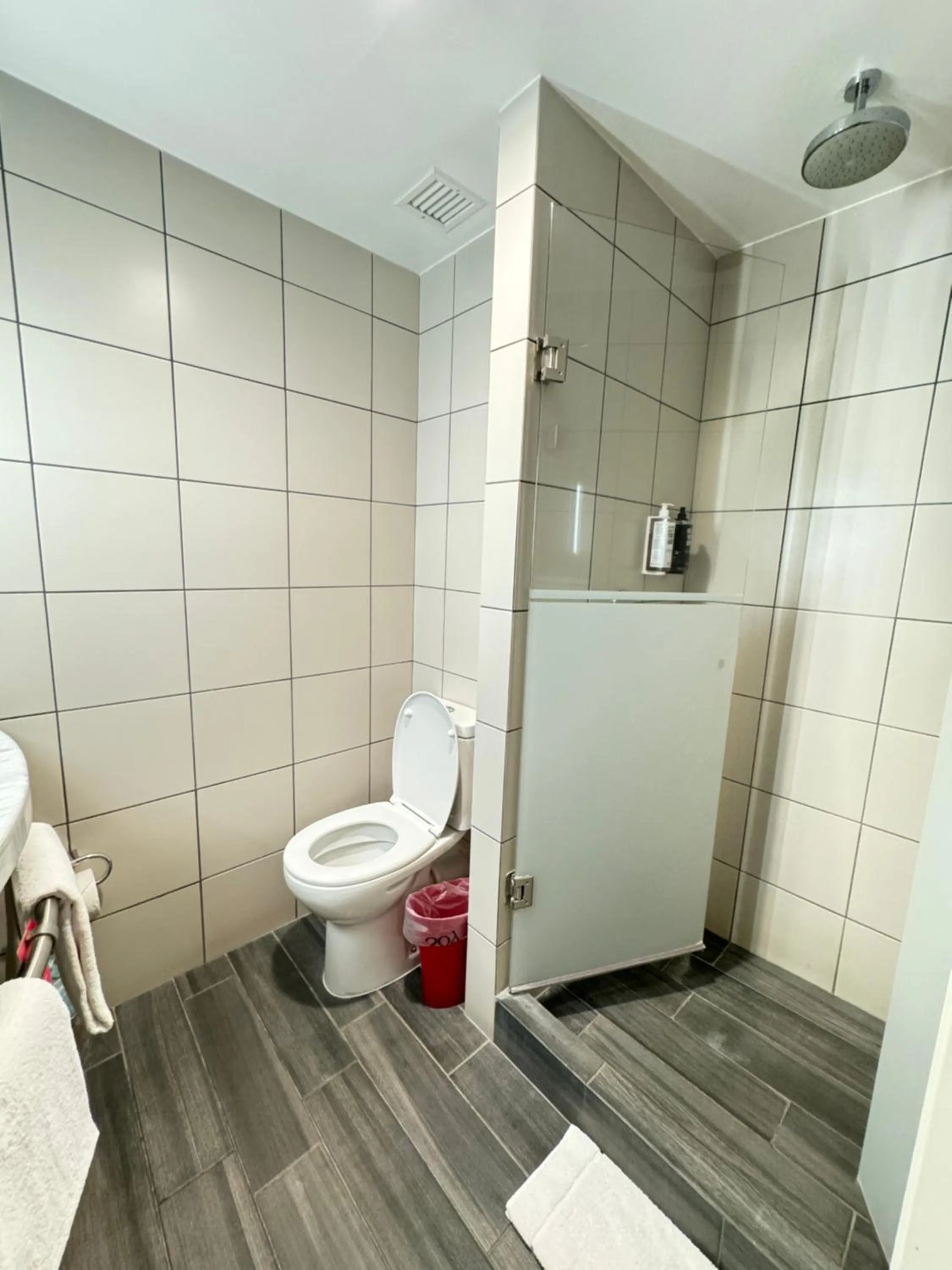 Bathroom in Ibis Queretaro