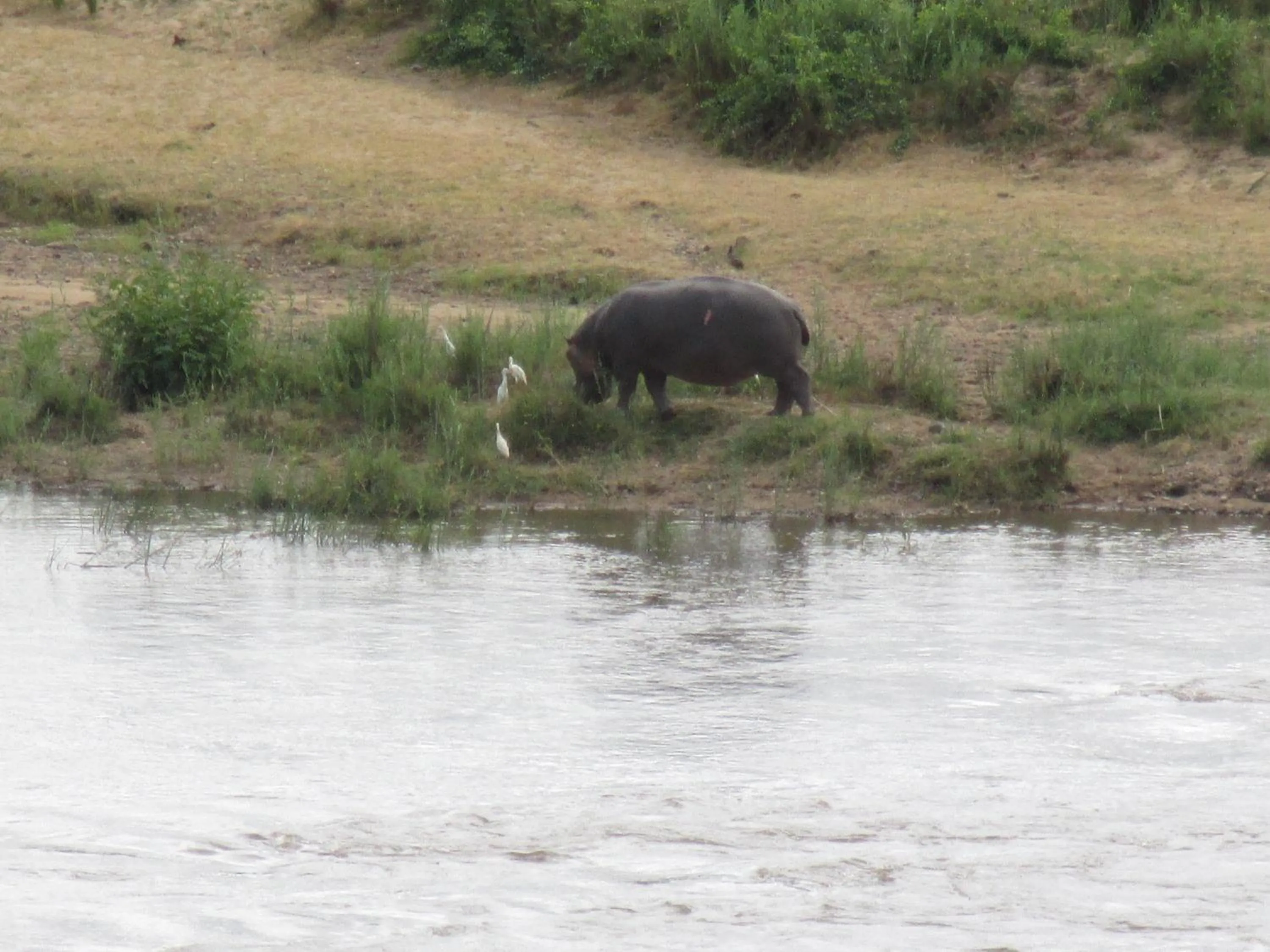 Other in Pestana Kruger Lodge