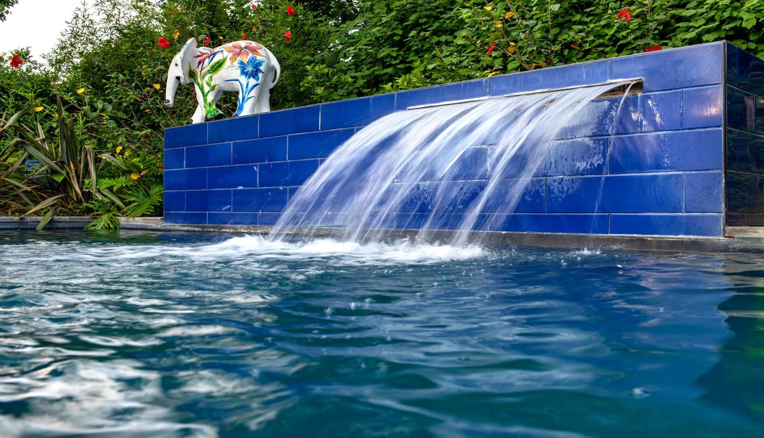 Swimming pool in La Fontaine Boutique Hotel by The Oyster Collection