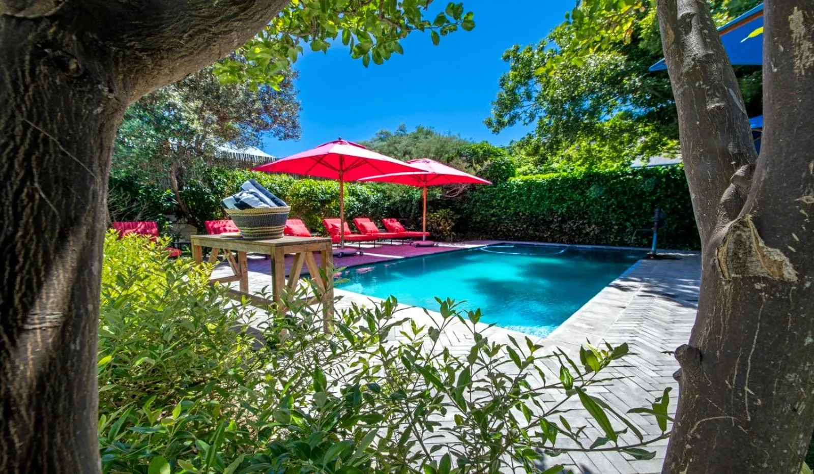 Pool view in La Fontaine Boutique Hotel by The Oyster Collection