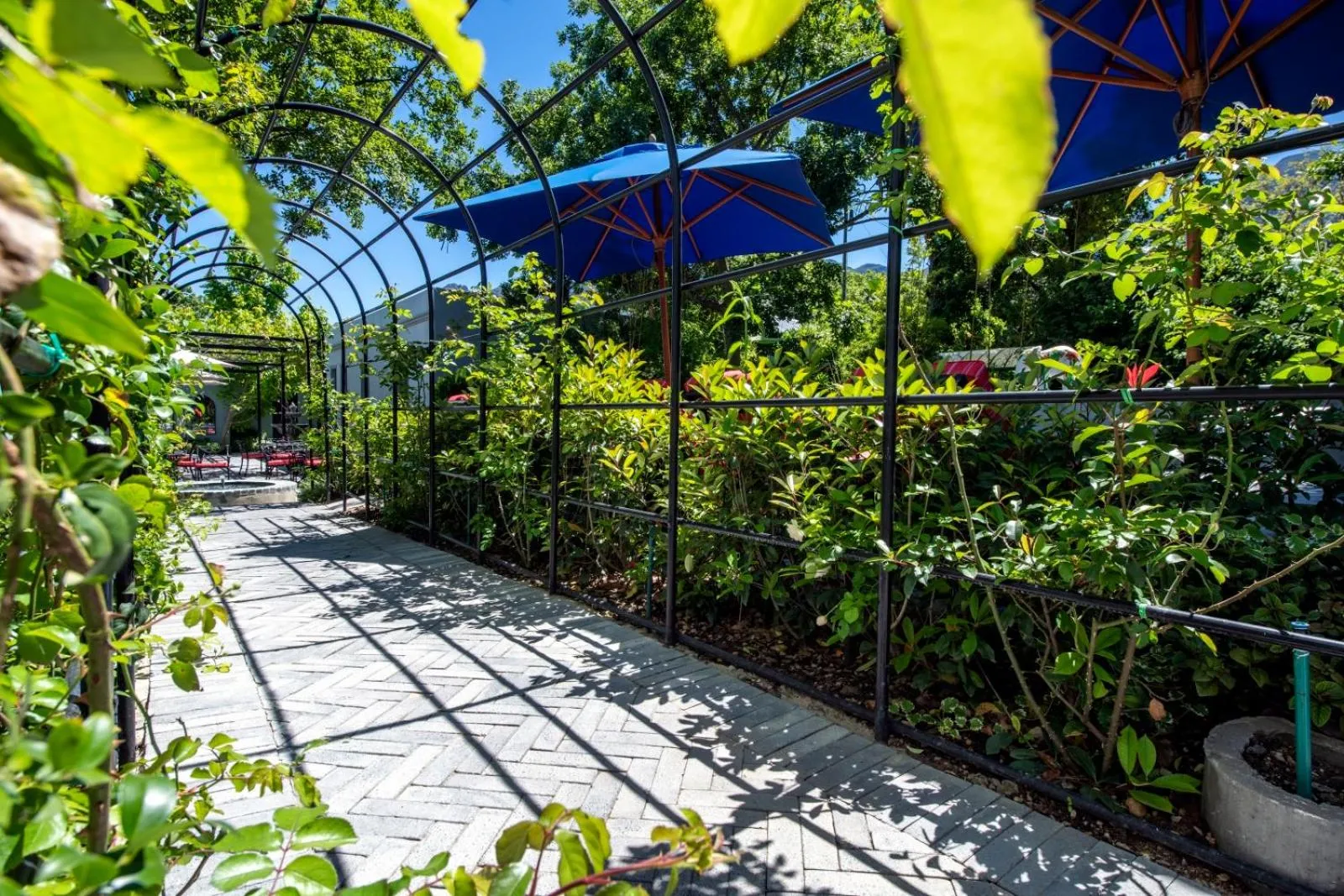 Garden in La Fontaine Boutique Hotel by The Oyster Collection