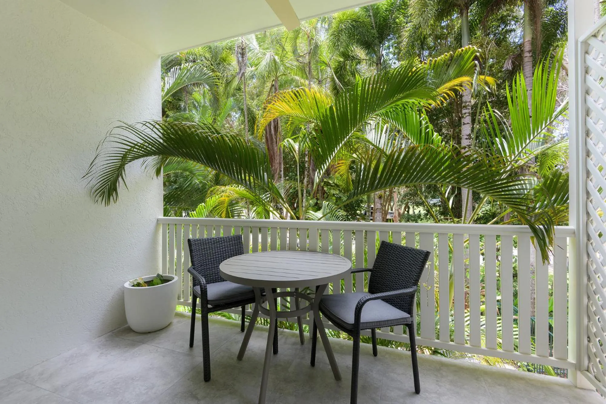View (from property/room) in Coral Apartments Port Douglas