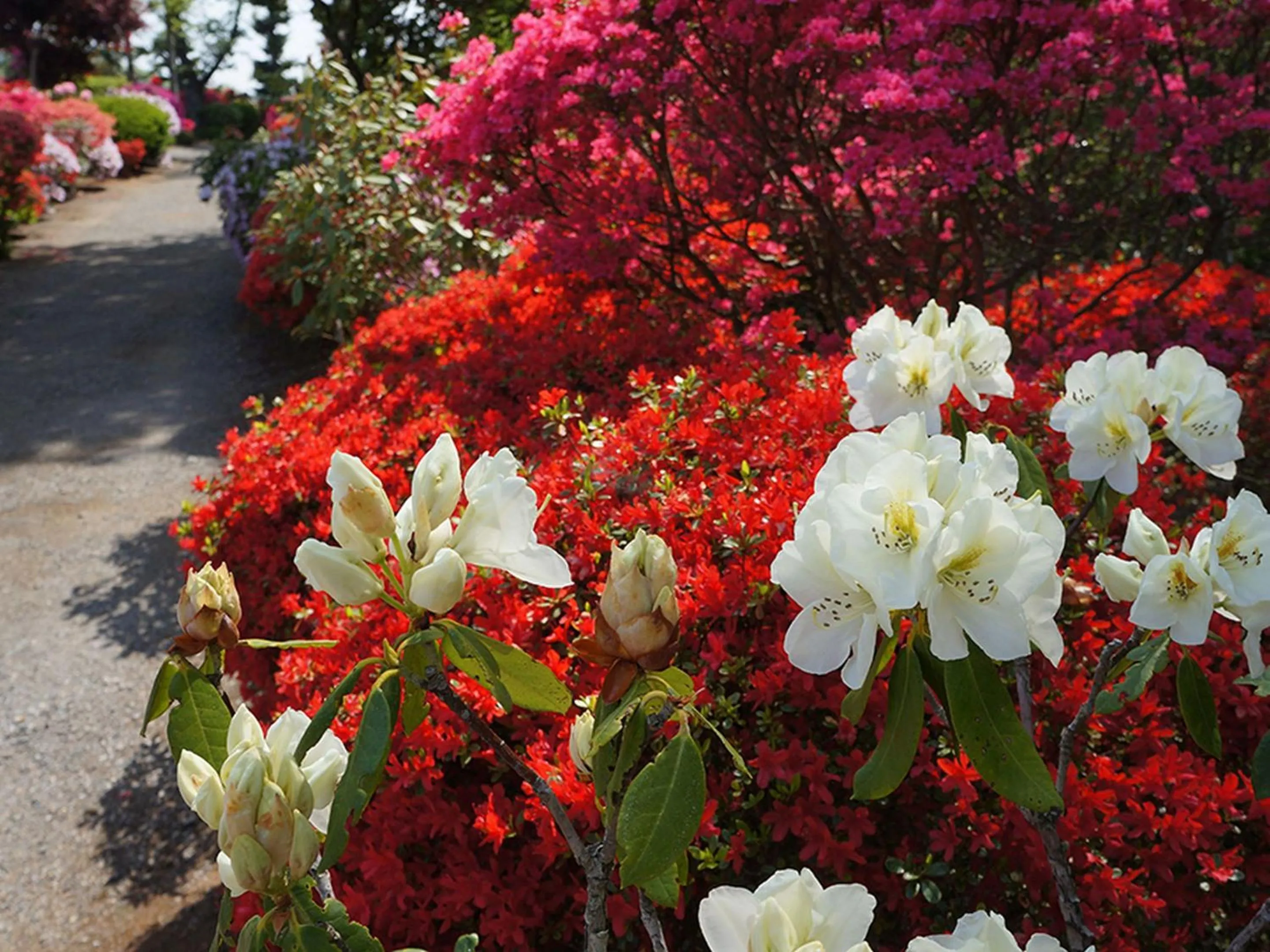 Nearby landmark in Hotel Wing International Sukagawa