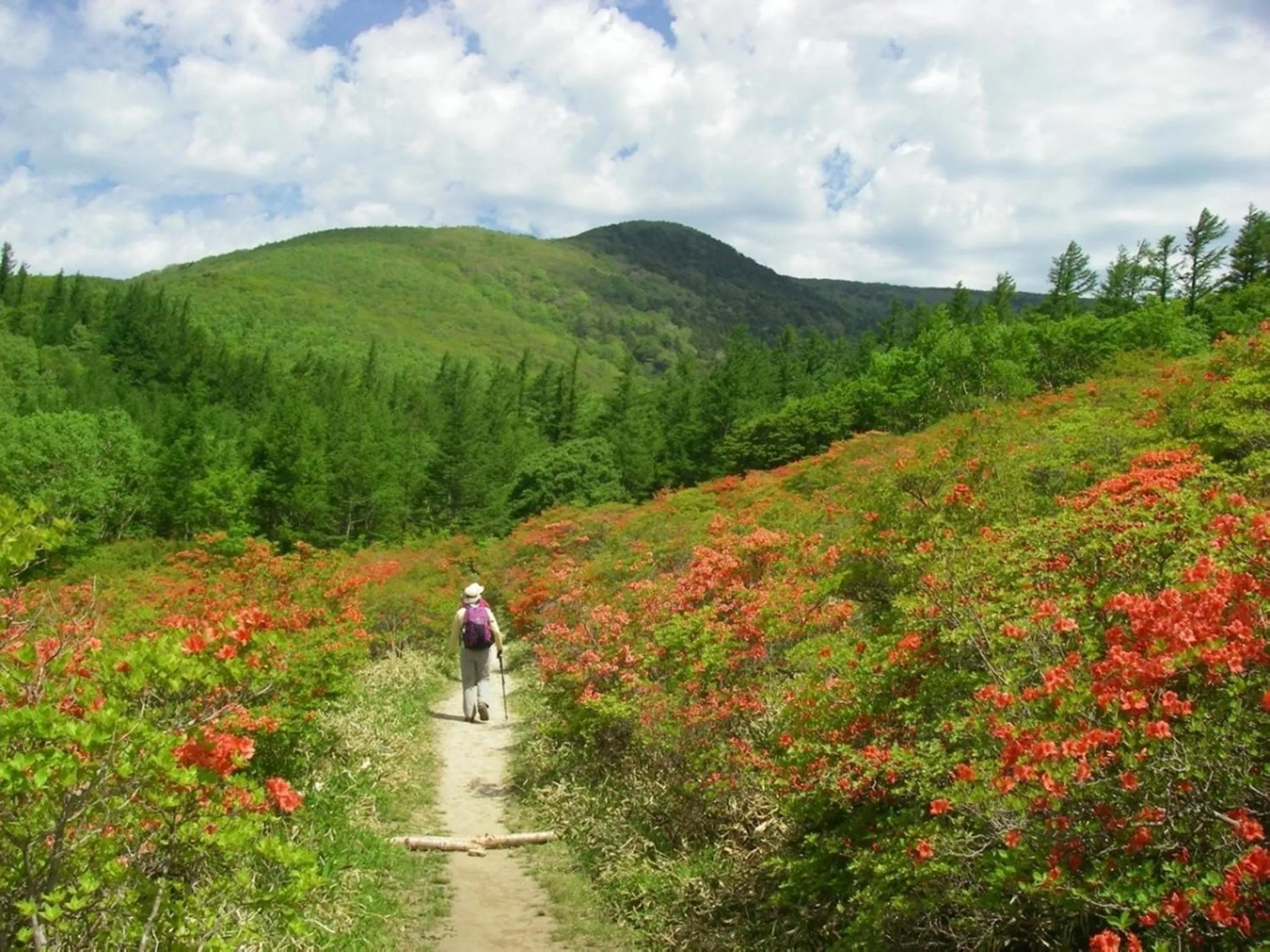 Hiking in Hamabeno Ryouriyado Houraikan