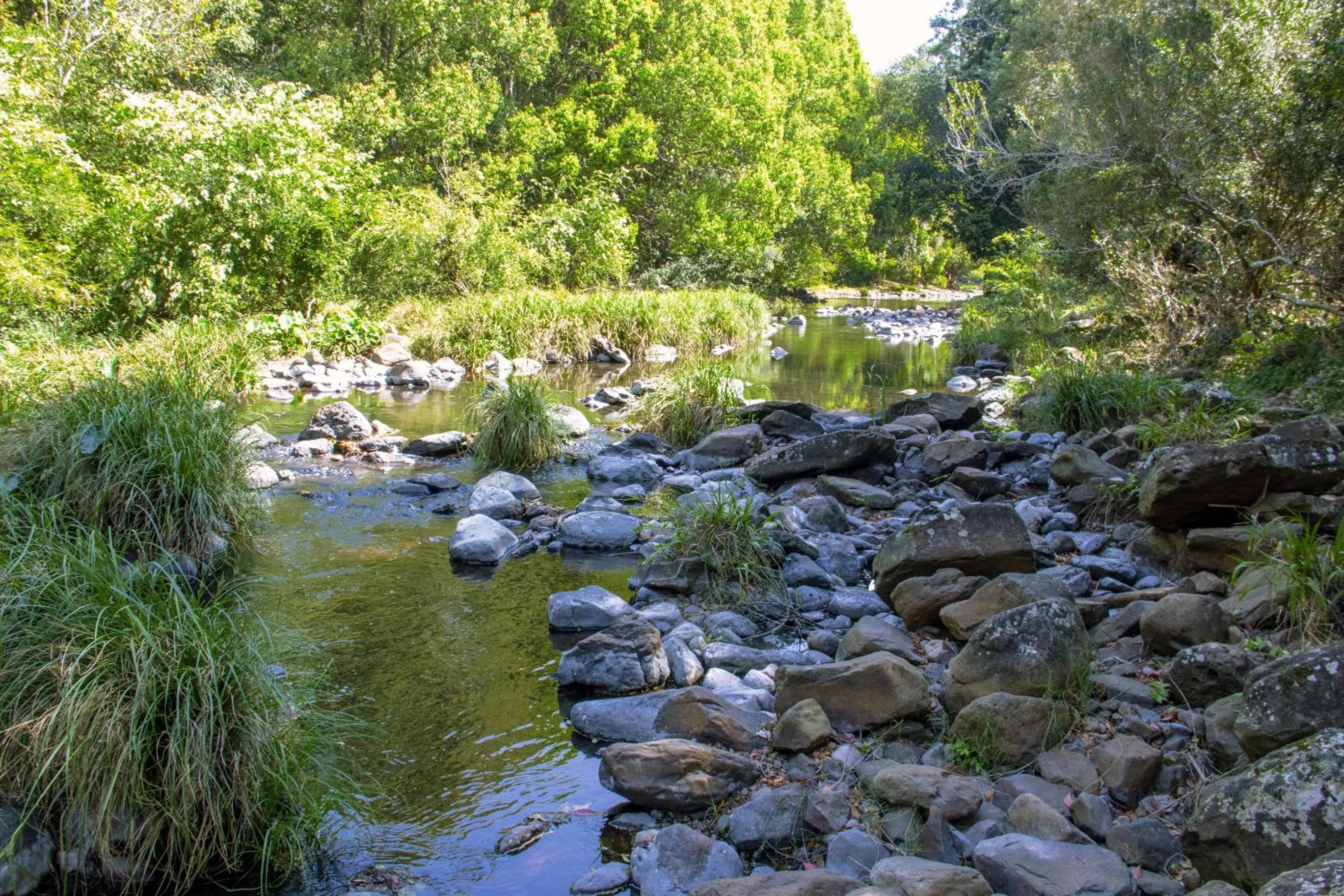 Day in Tallaringa Views