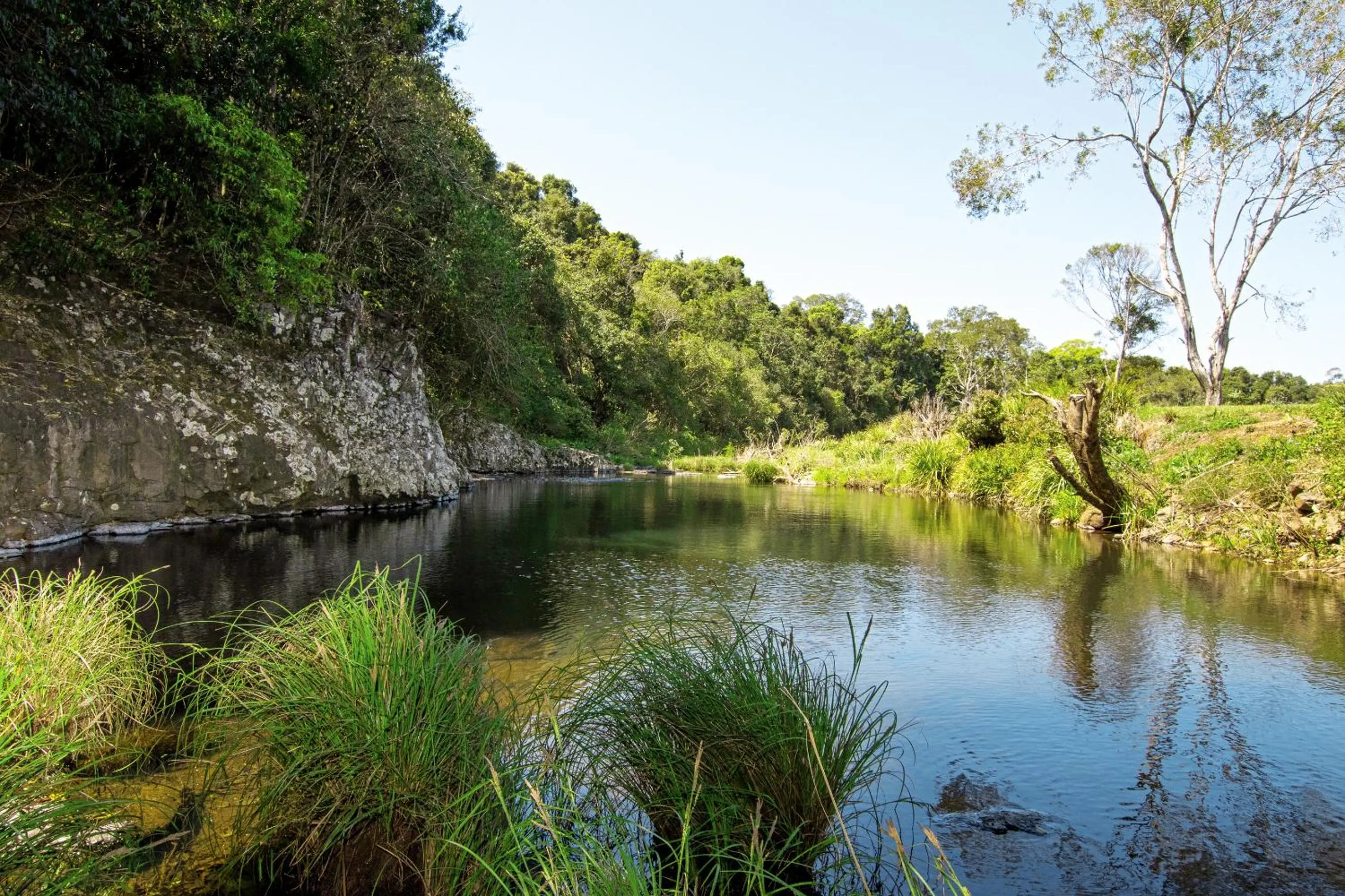Spring in Tallaringa Views