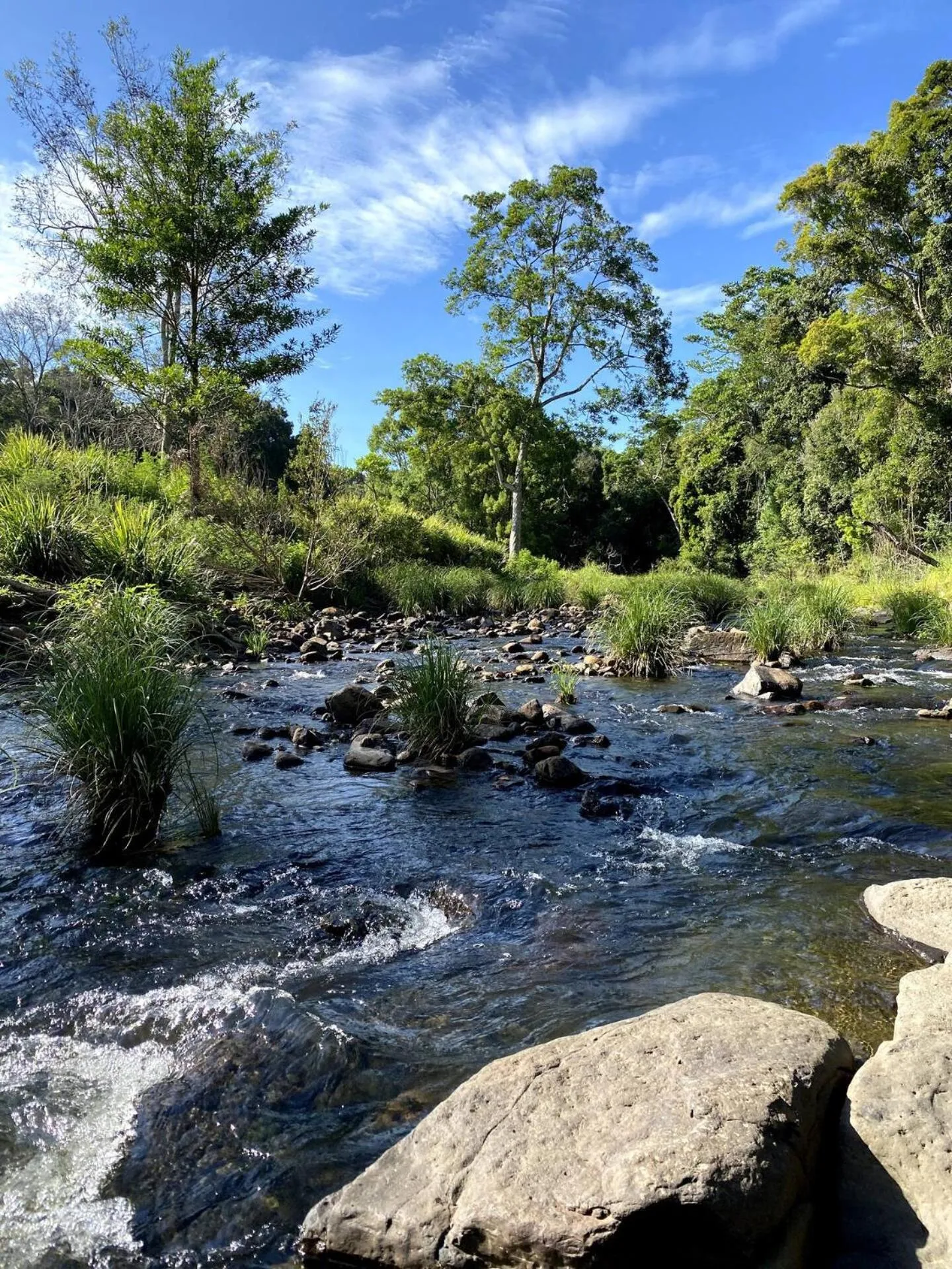 Natural landscape in Tallaringa Views