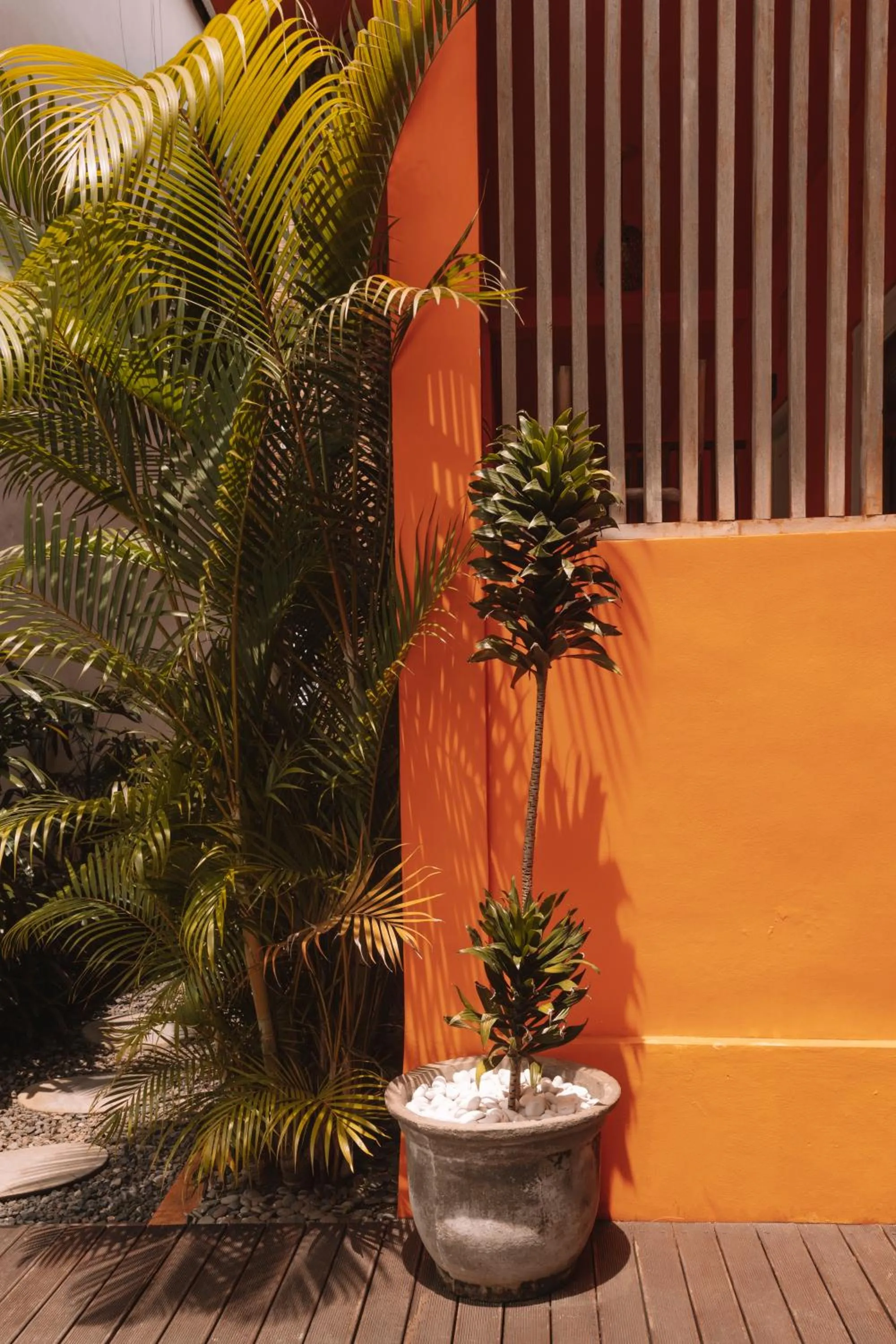 Garden in The Room Padang-Padang