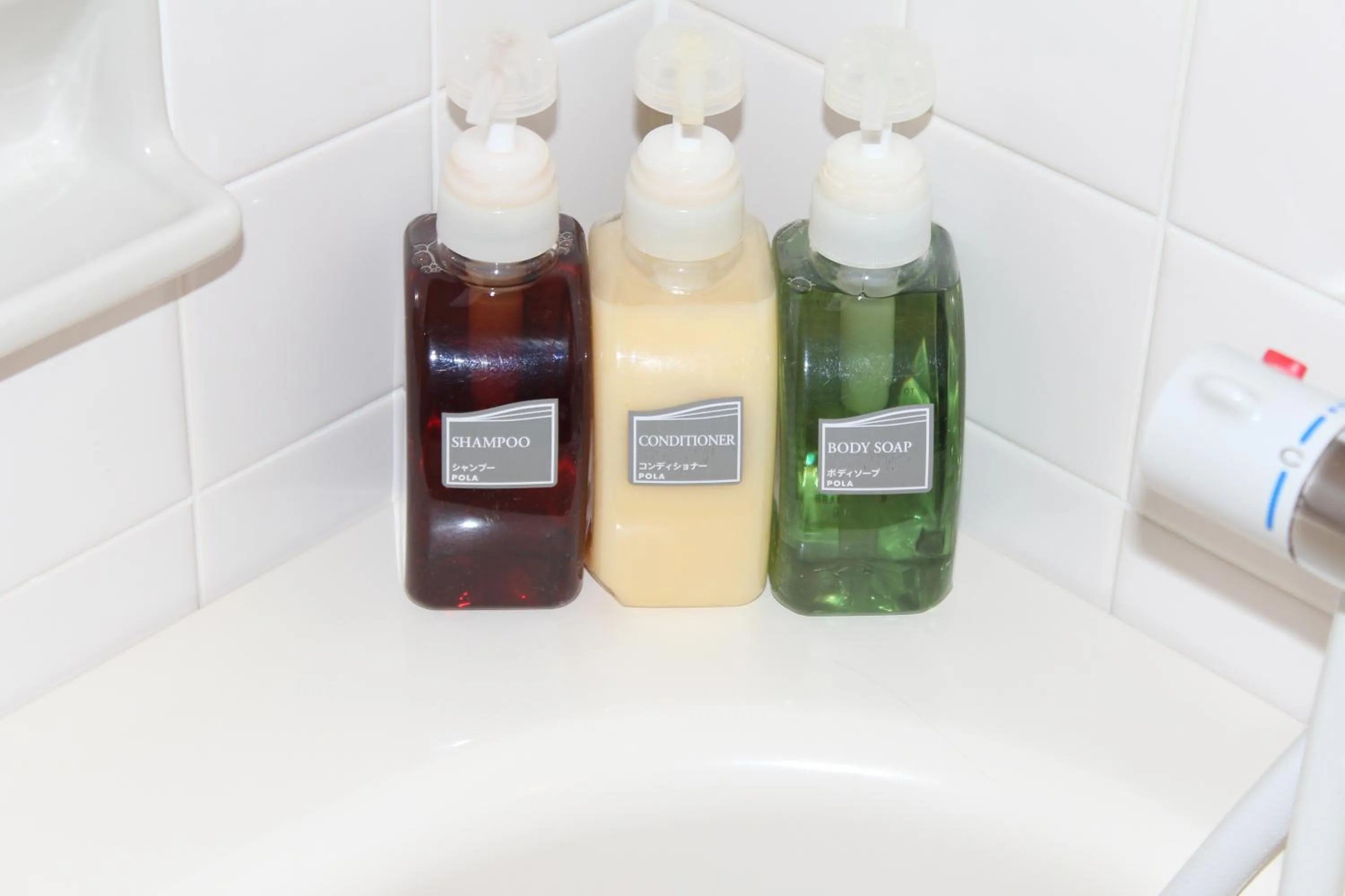 Other in Hotel Saika