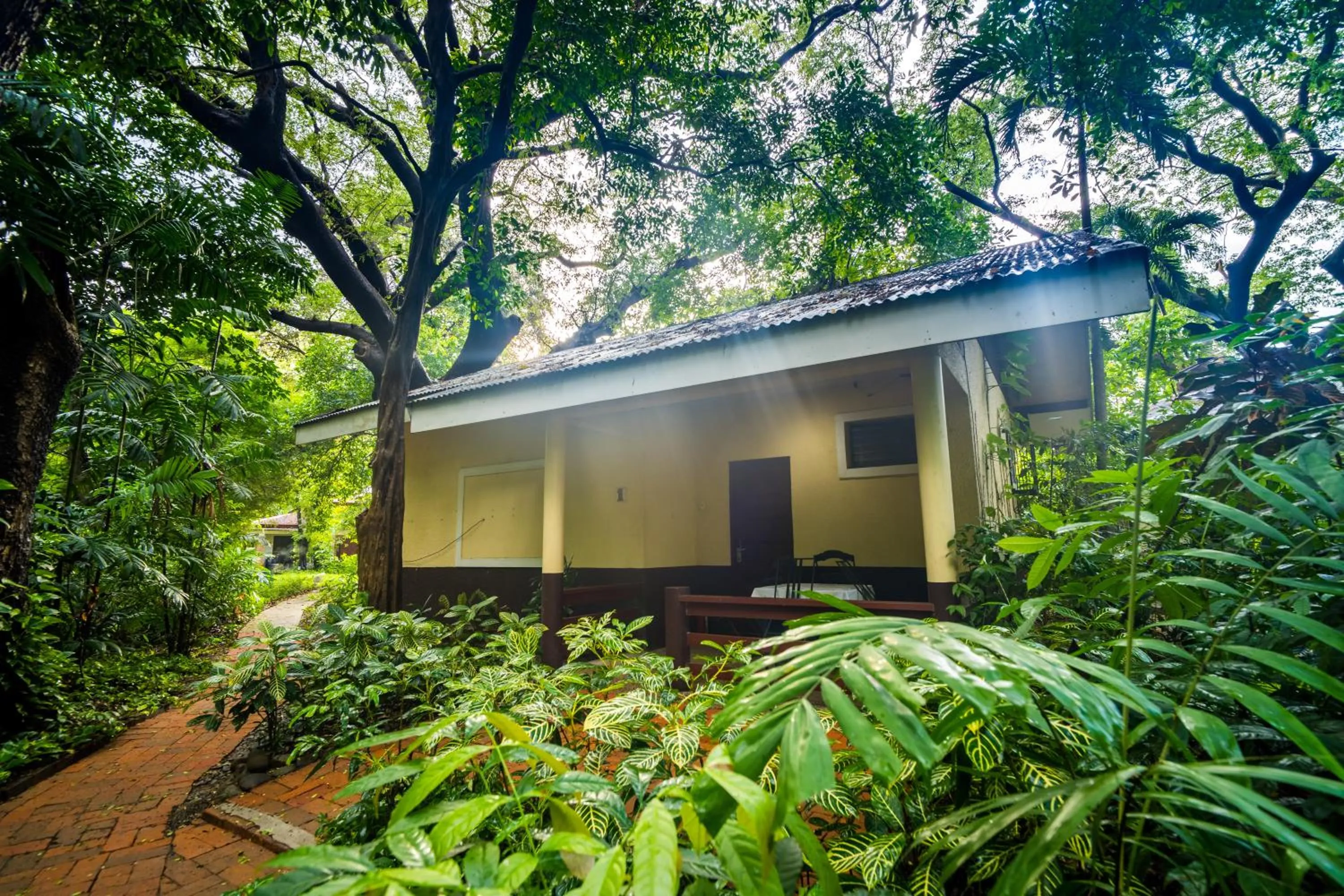 Lisland Rainforest Resort