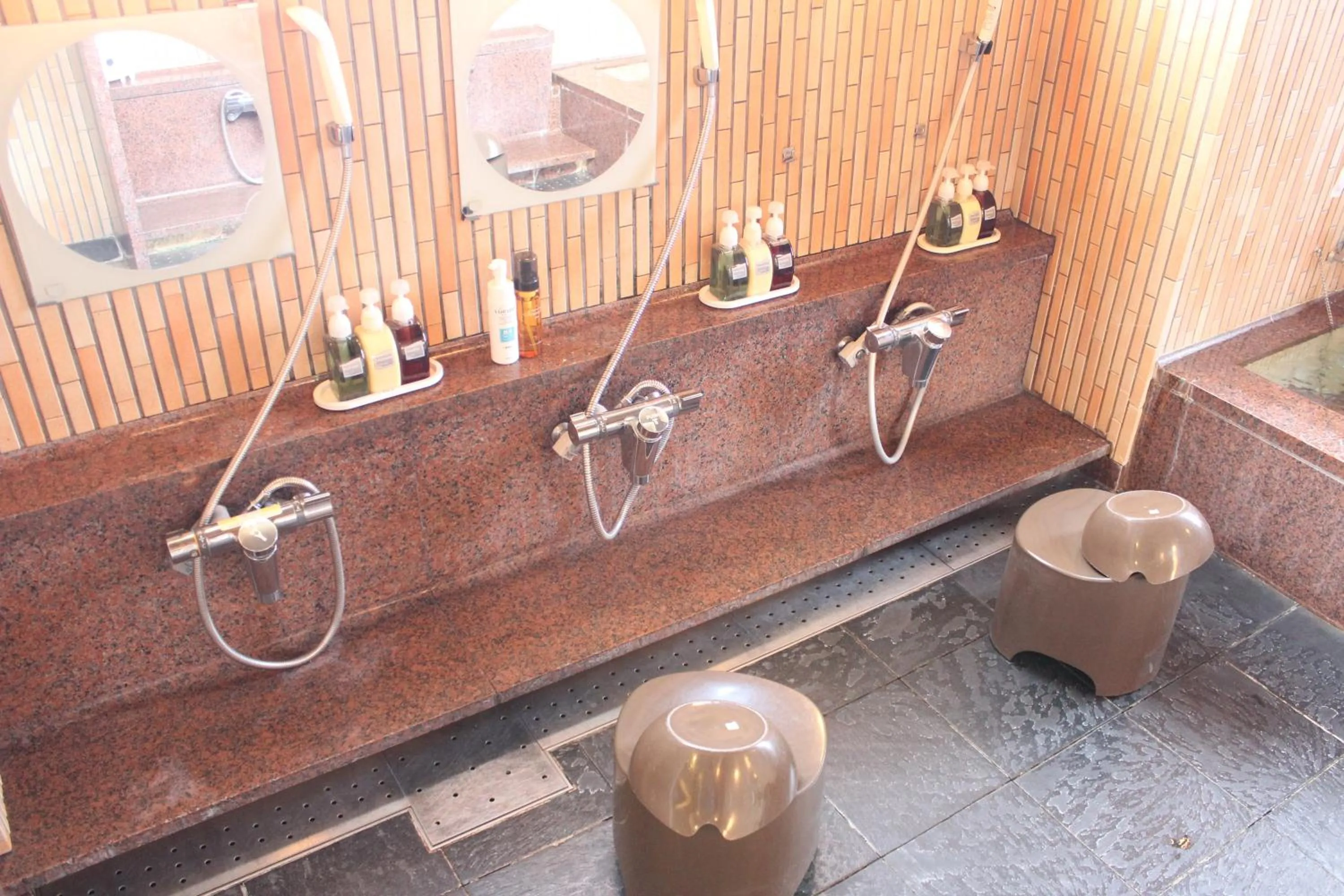 Public Bath in Hotel Shiosai