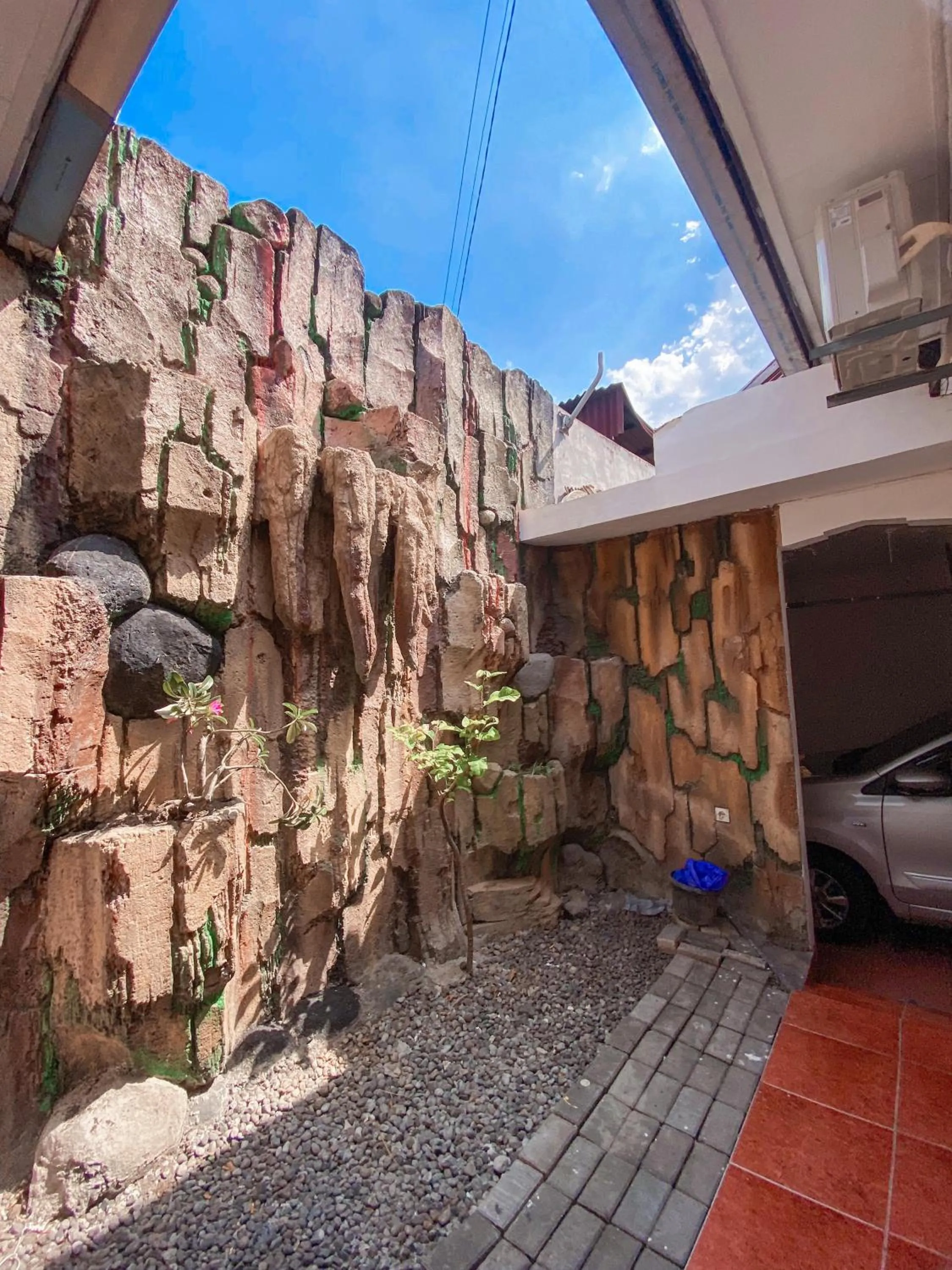 Laura's Backpacker 523