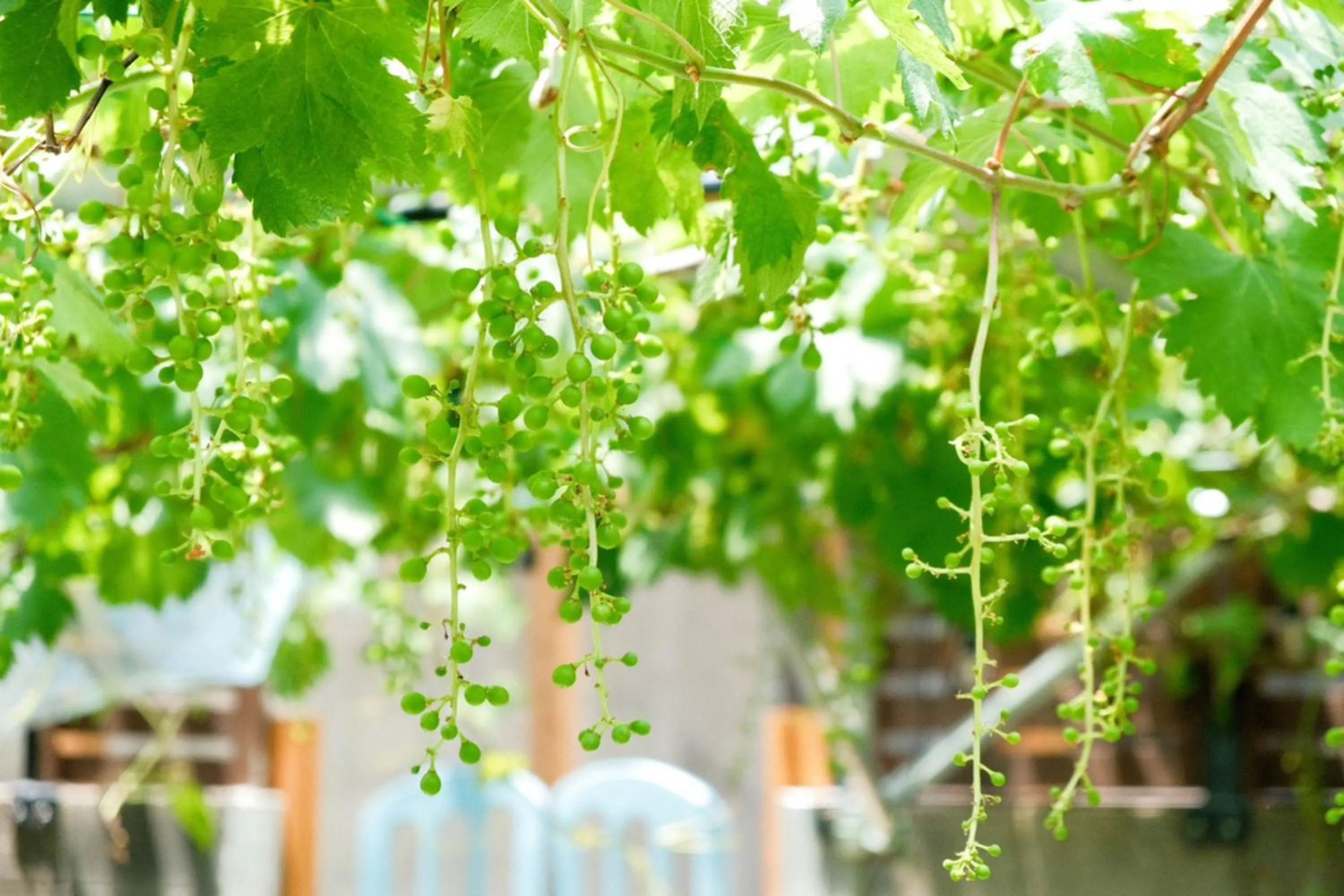 Property building in Traditional Apartment Takamatsu Guesthouse