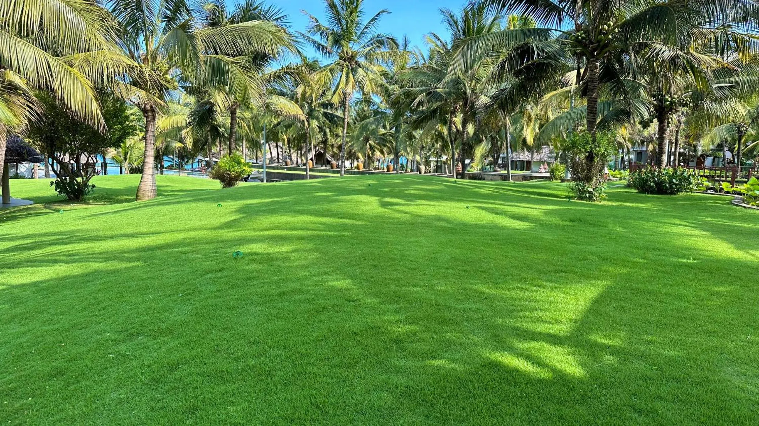 Garden in Sonata Resort & Spa