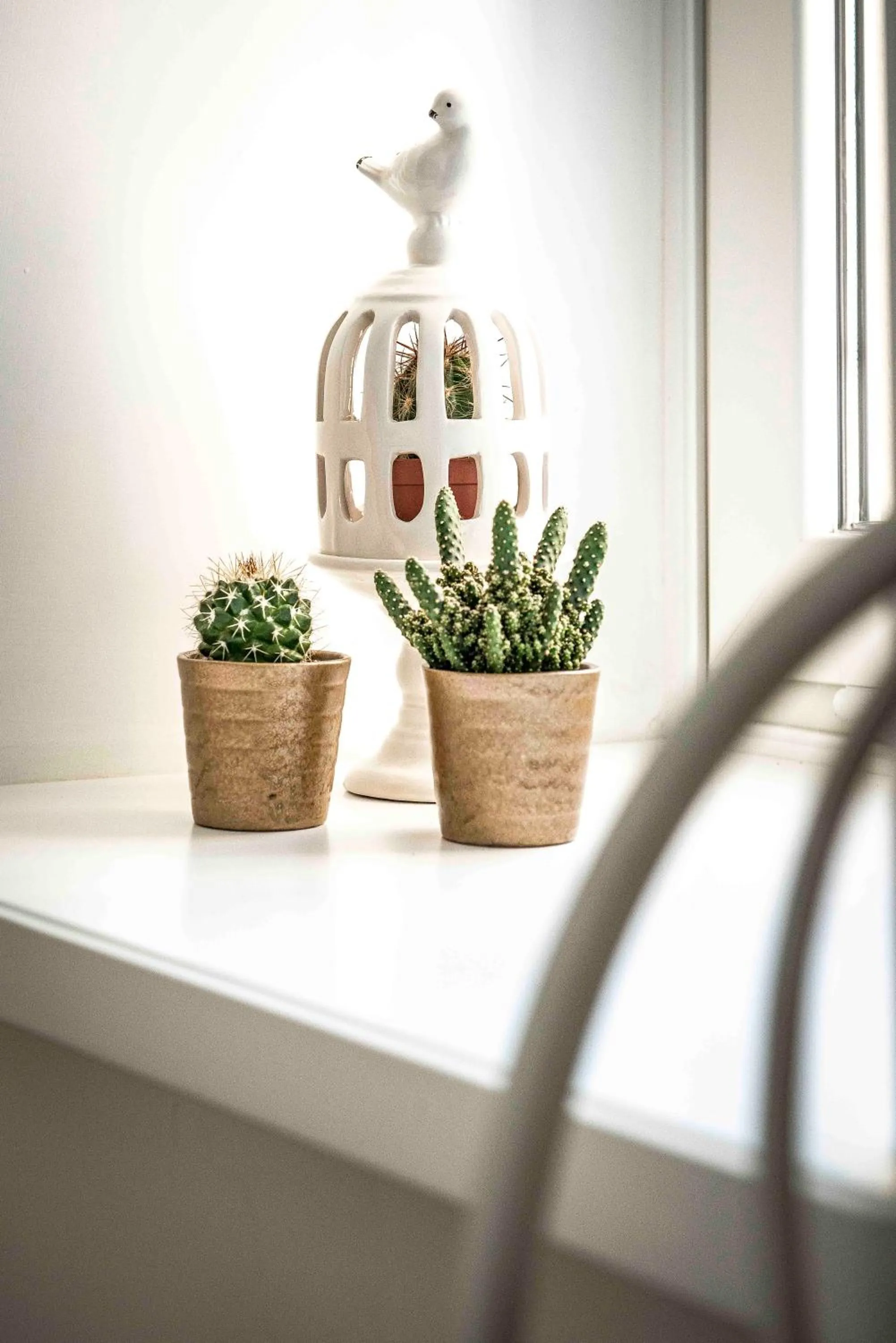 Decorative detail in Adelina Guesthouse