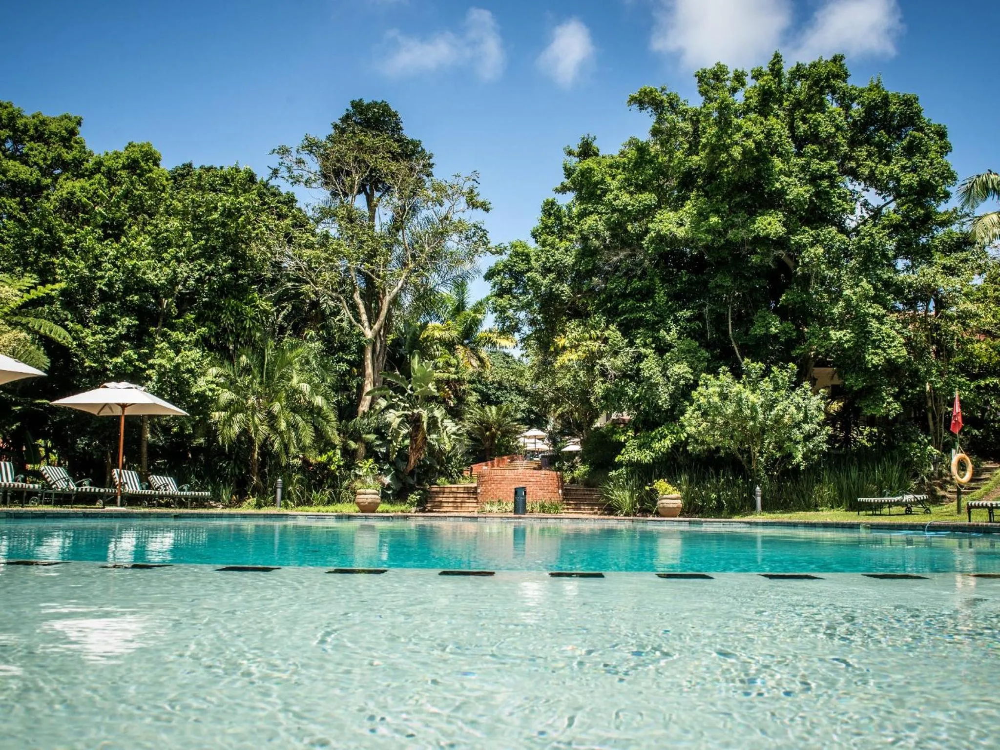 Swimming pool in Selborne Golf Estate, Hotel & Spa