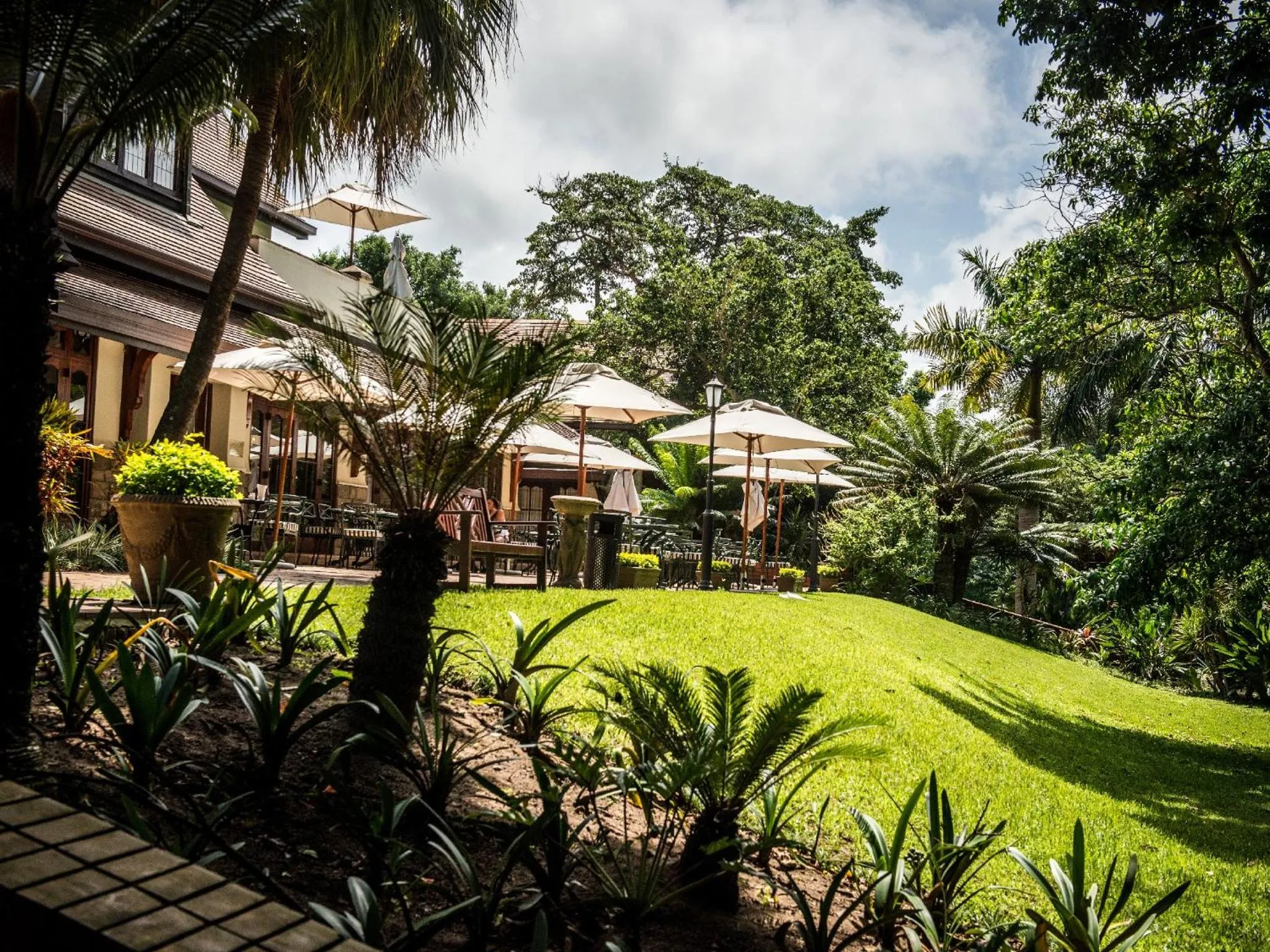 Restaurant/places to eat in Selborne Golf Estate, Hotel & Spa