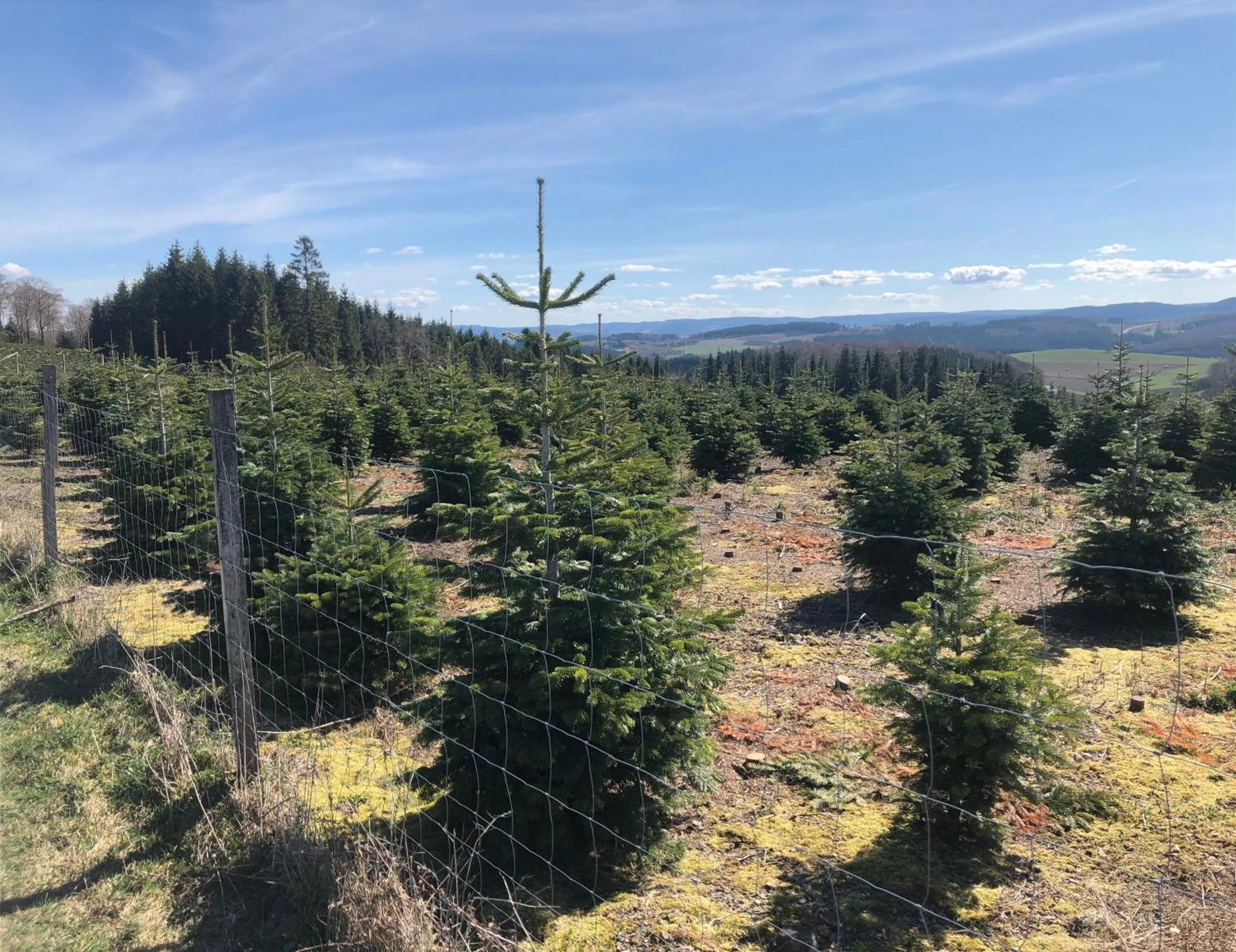 Natural landscape in Gasthaus Mester