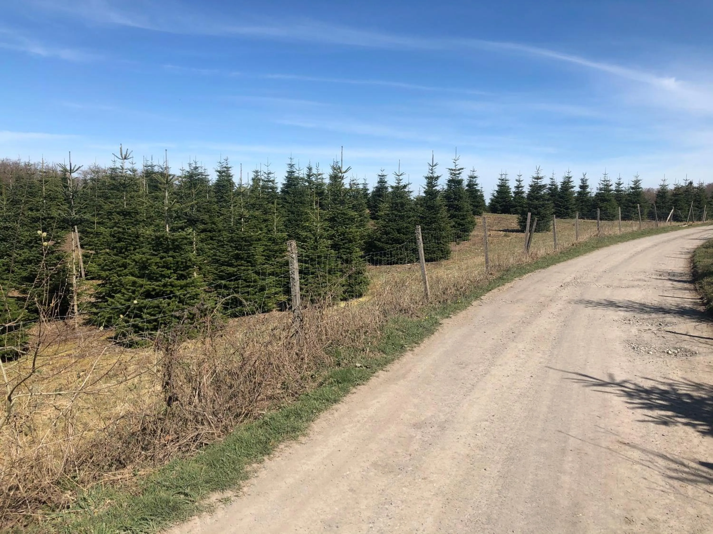 Natural landscape in Gasthaus Mester