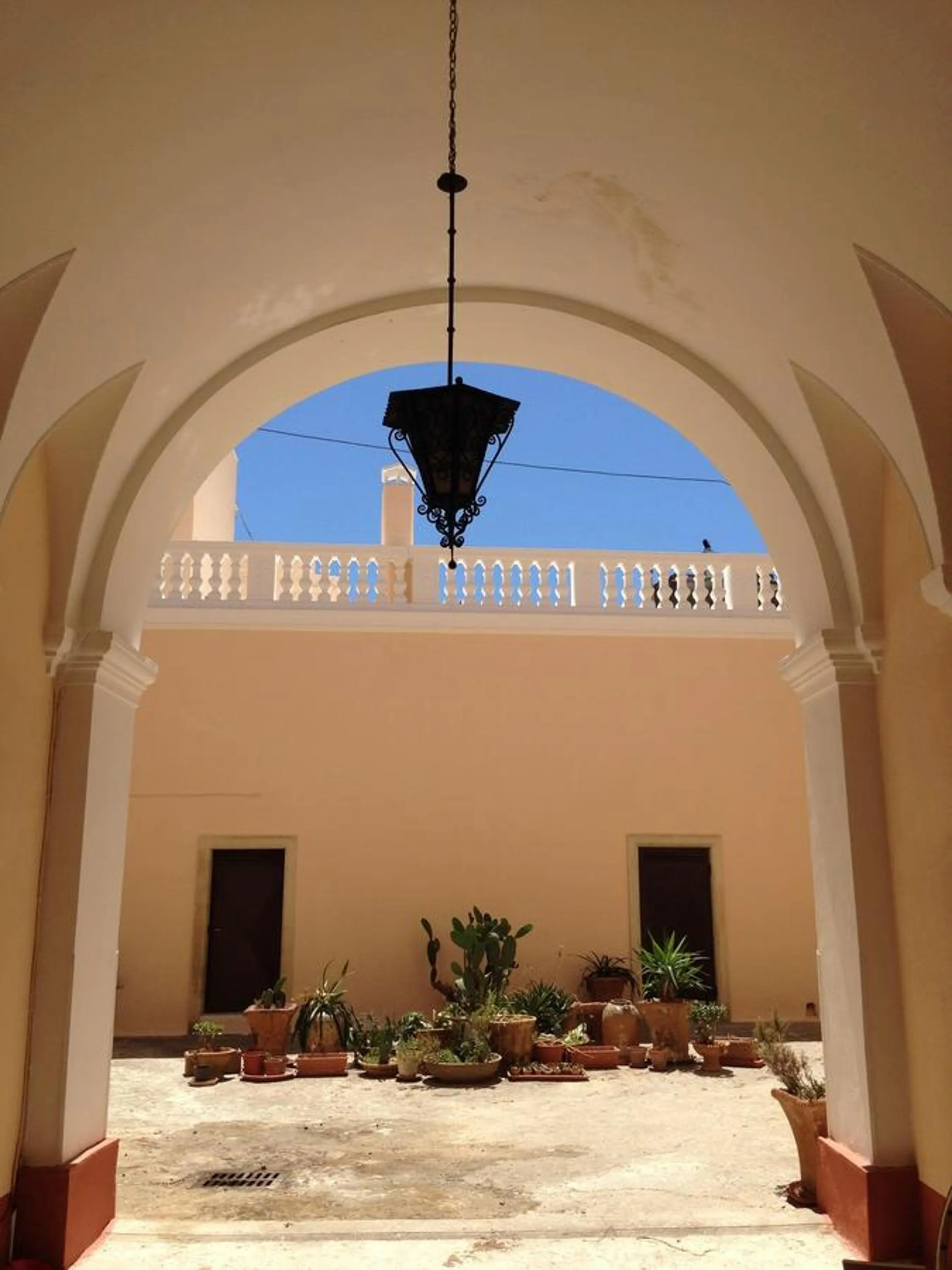 Garden in 100 Craste