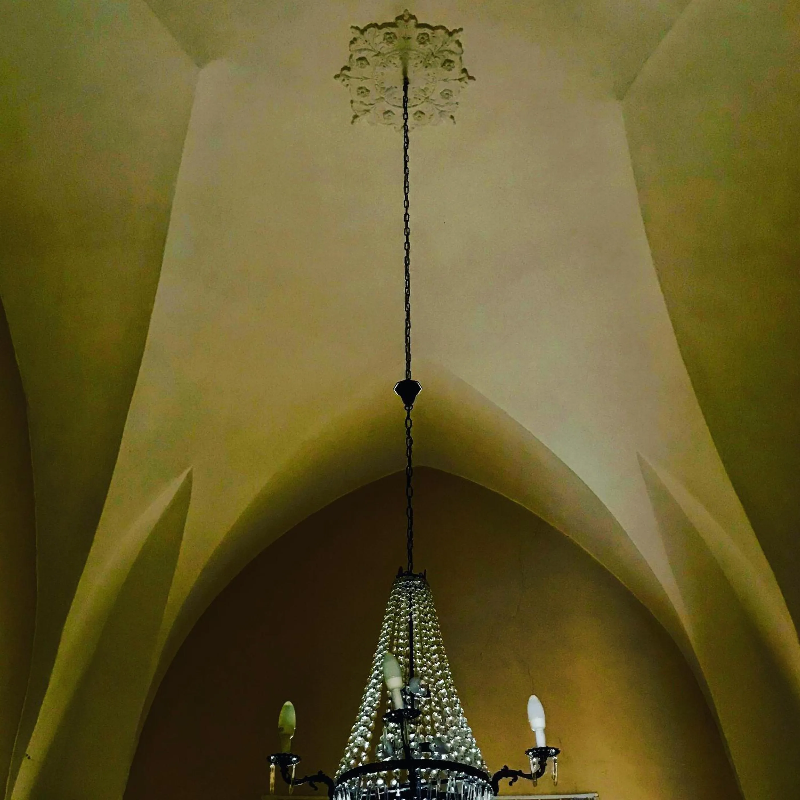 Decorative detail in 100 Craste