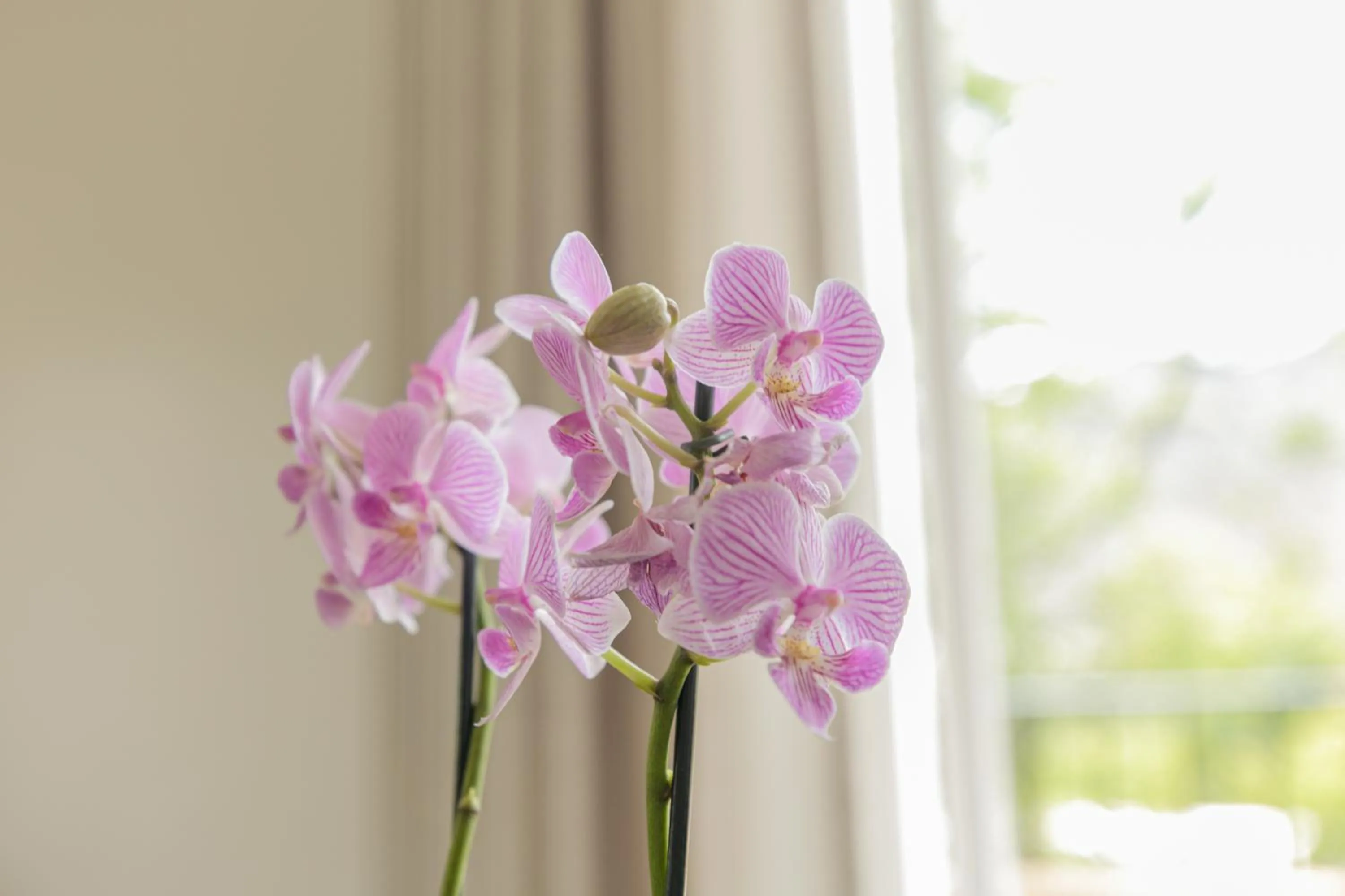 Le Franschhoek Hotel & Spa by Dream Resorts