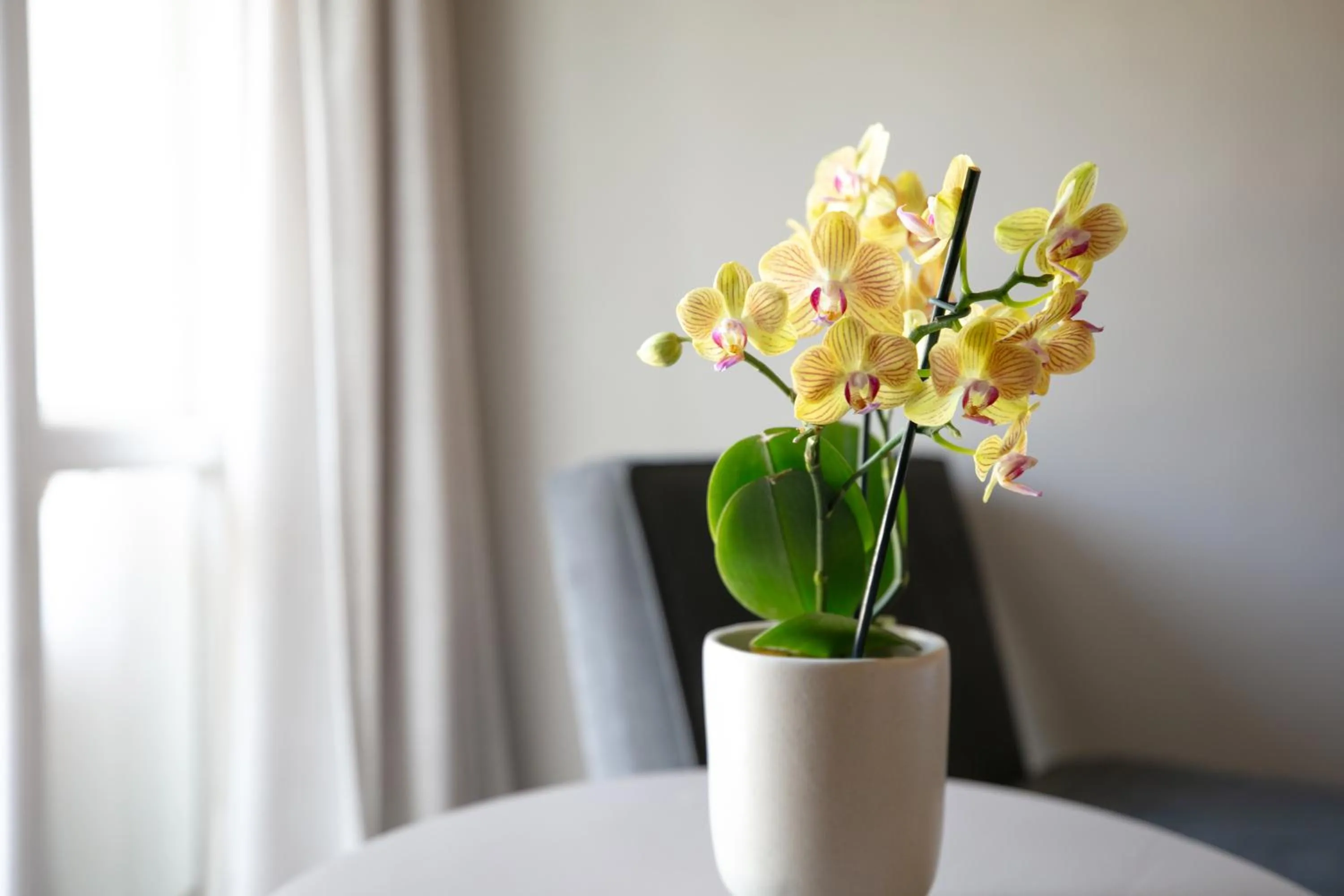 Le Franschhoek Hotel & Spa by Dream Resorts