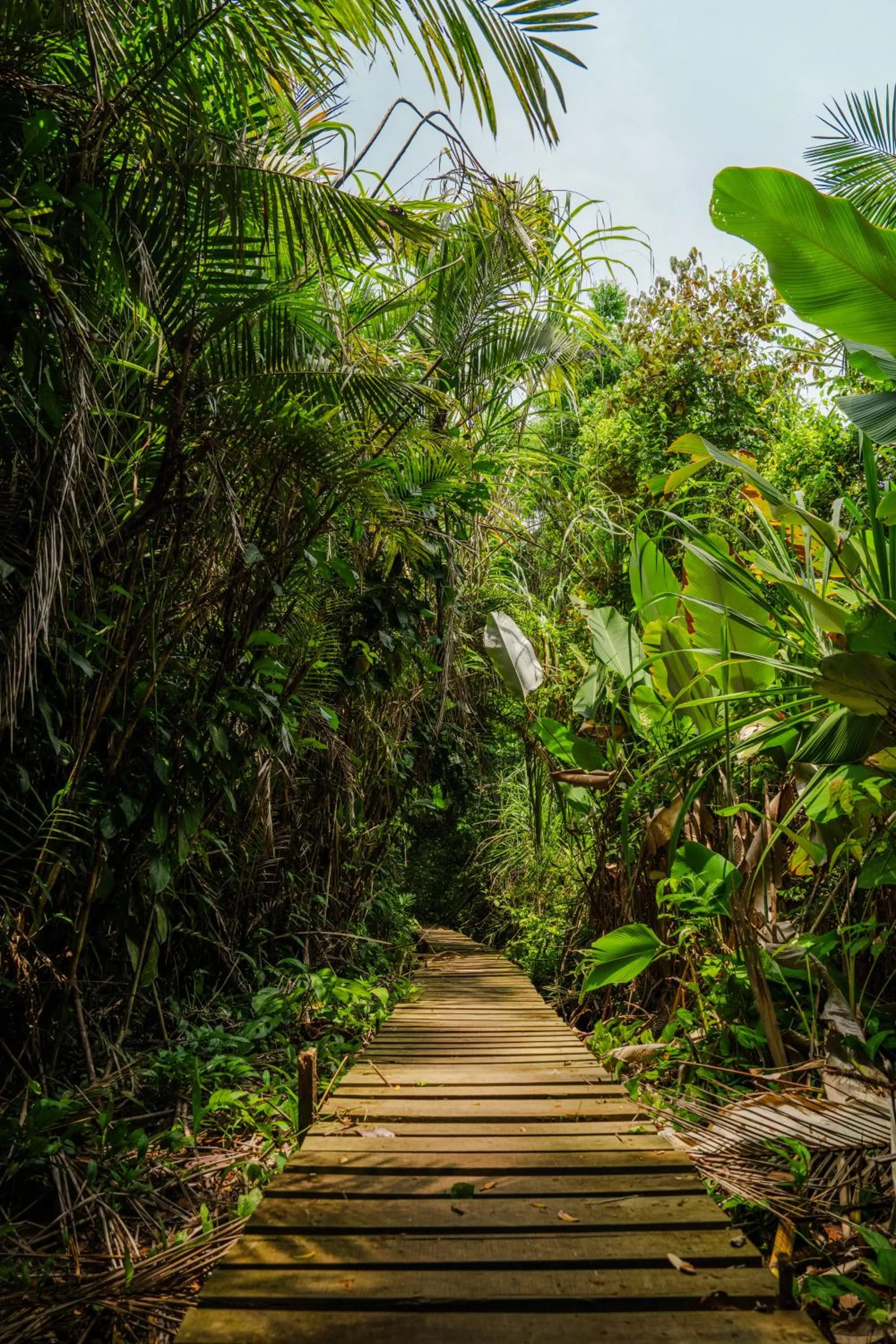 Hiking in Hacienda Baru