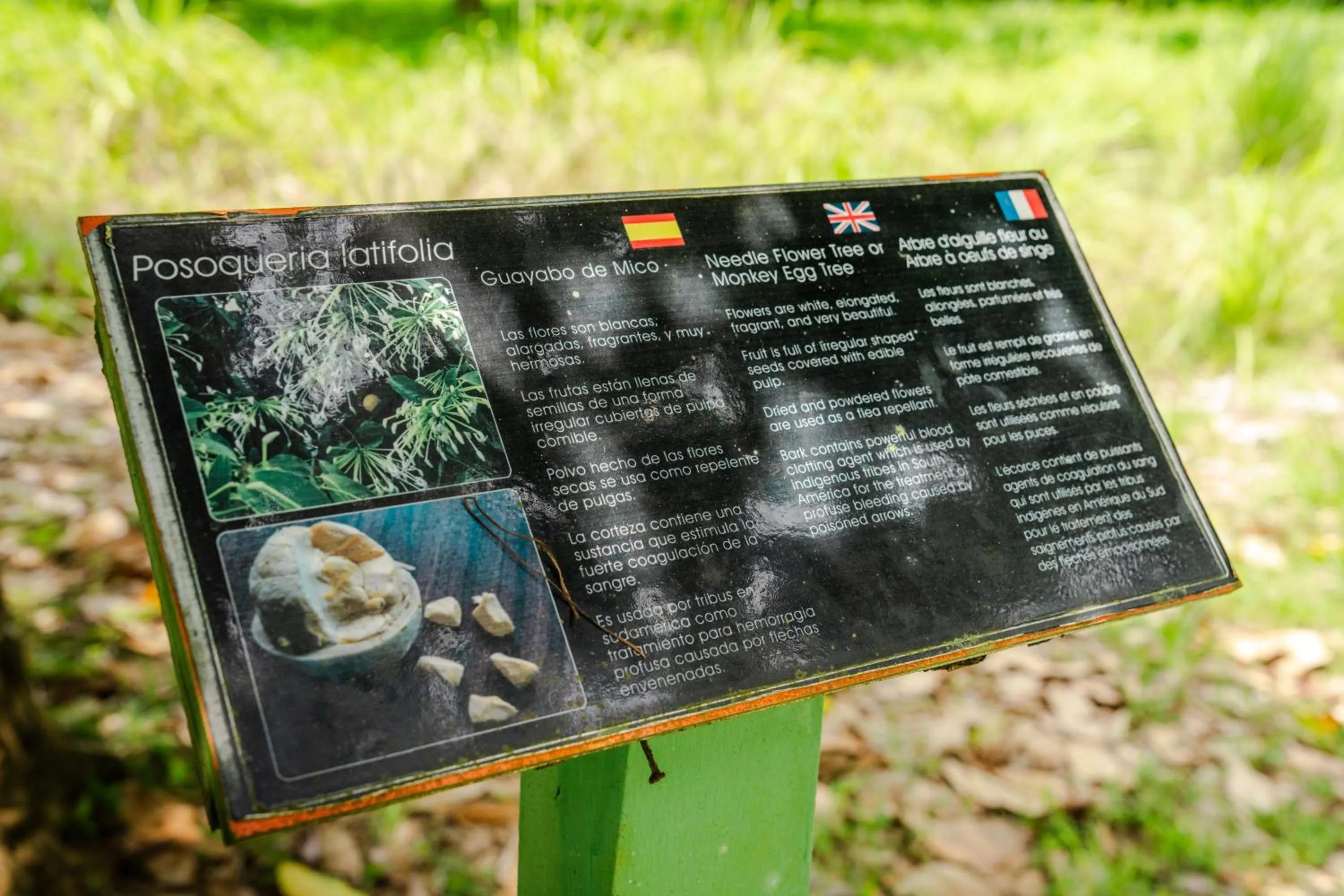 Hiking in Hacienda Baru